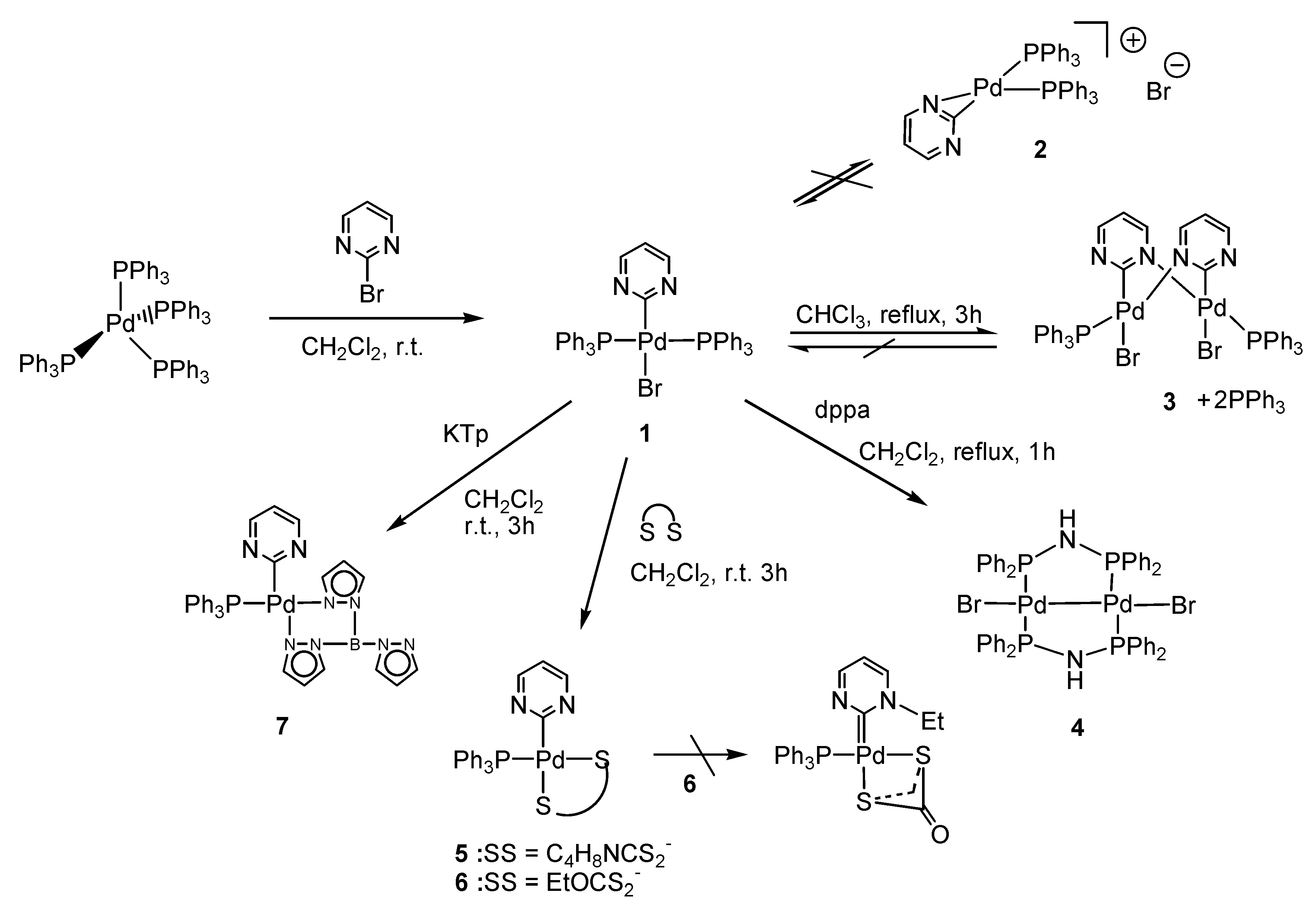 Molecules 25 02035 sch001