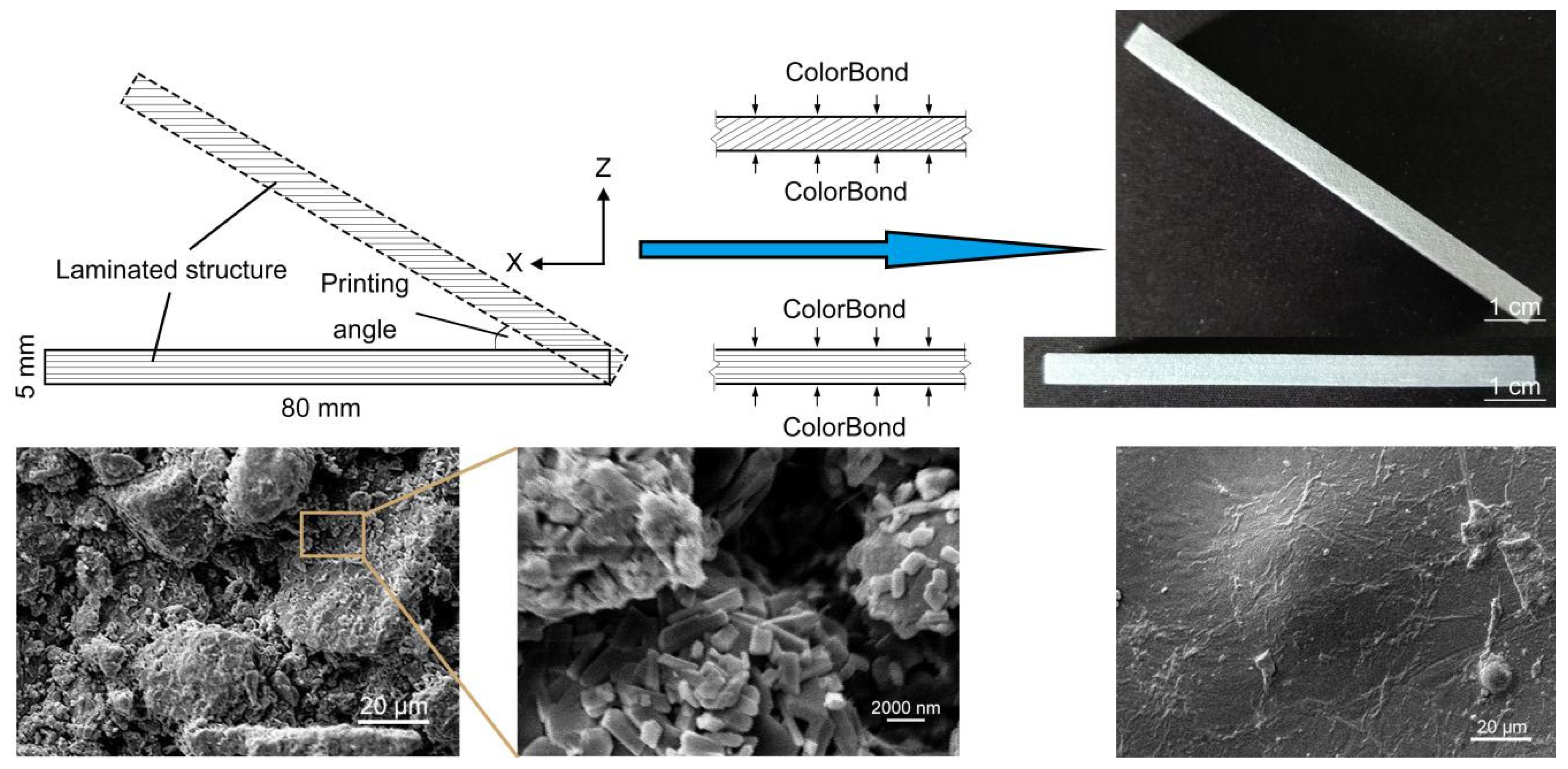 Molecules 25 02037 g004 Molecules 25 02037 g004