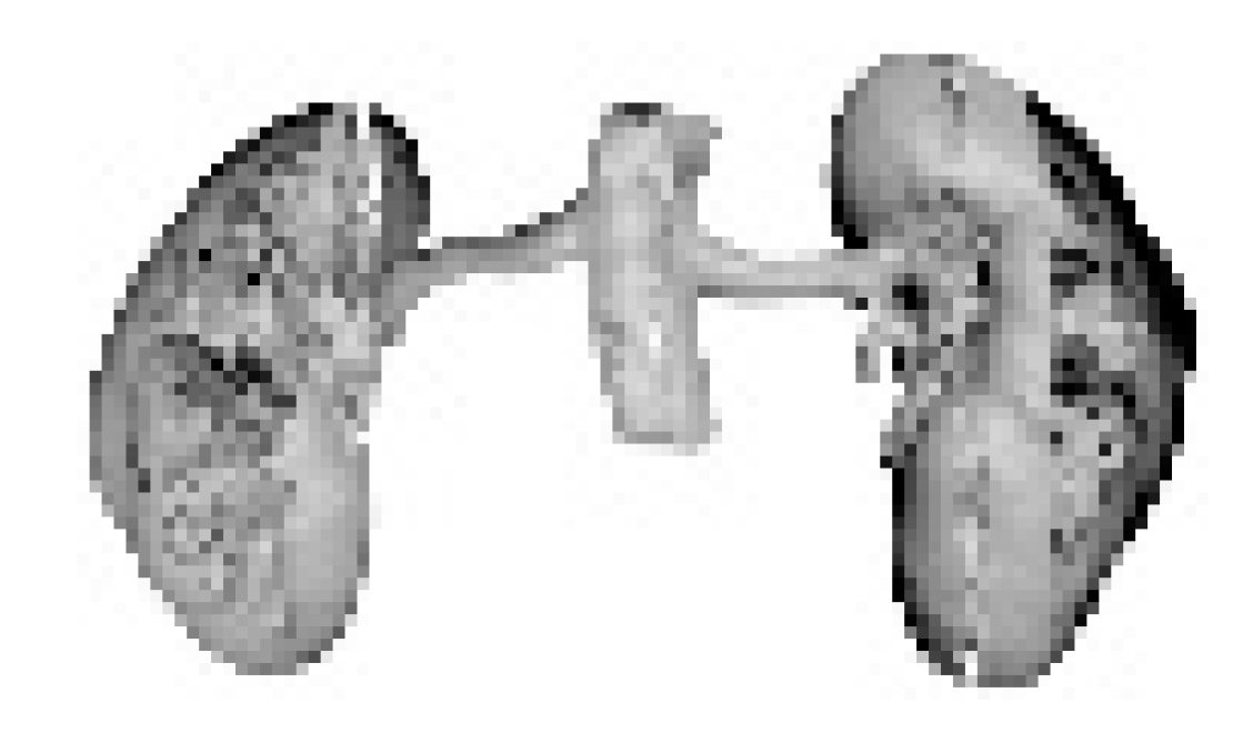 Molecules 25 02037 i010 Molecules 25 02037 i010