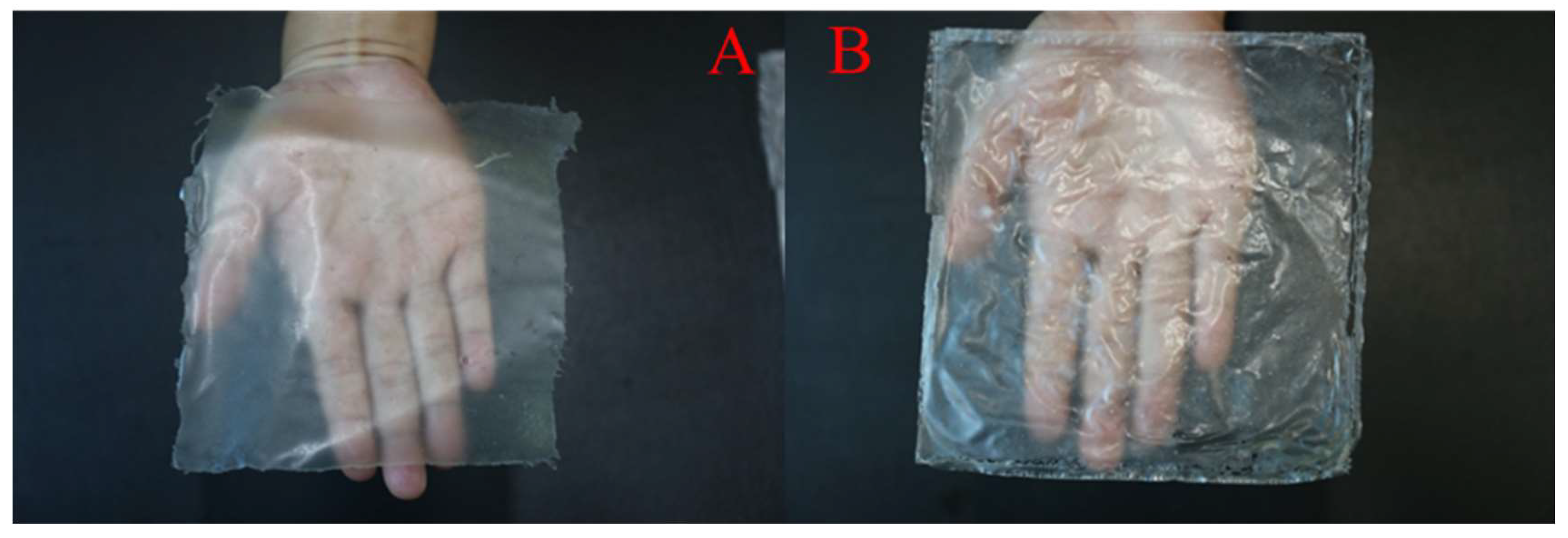 Molecules 25 02044 g003 Molecules 25 02044 g003