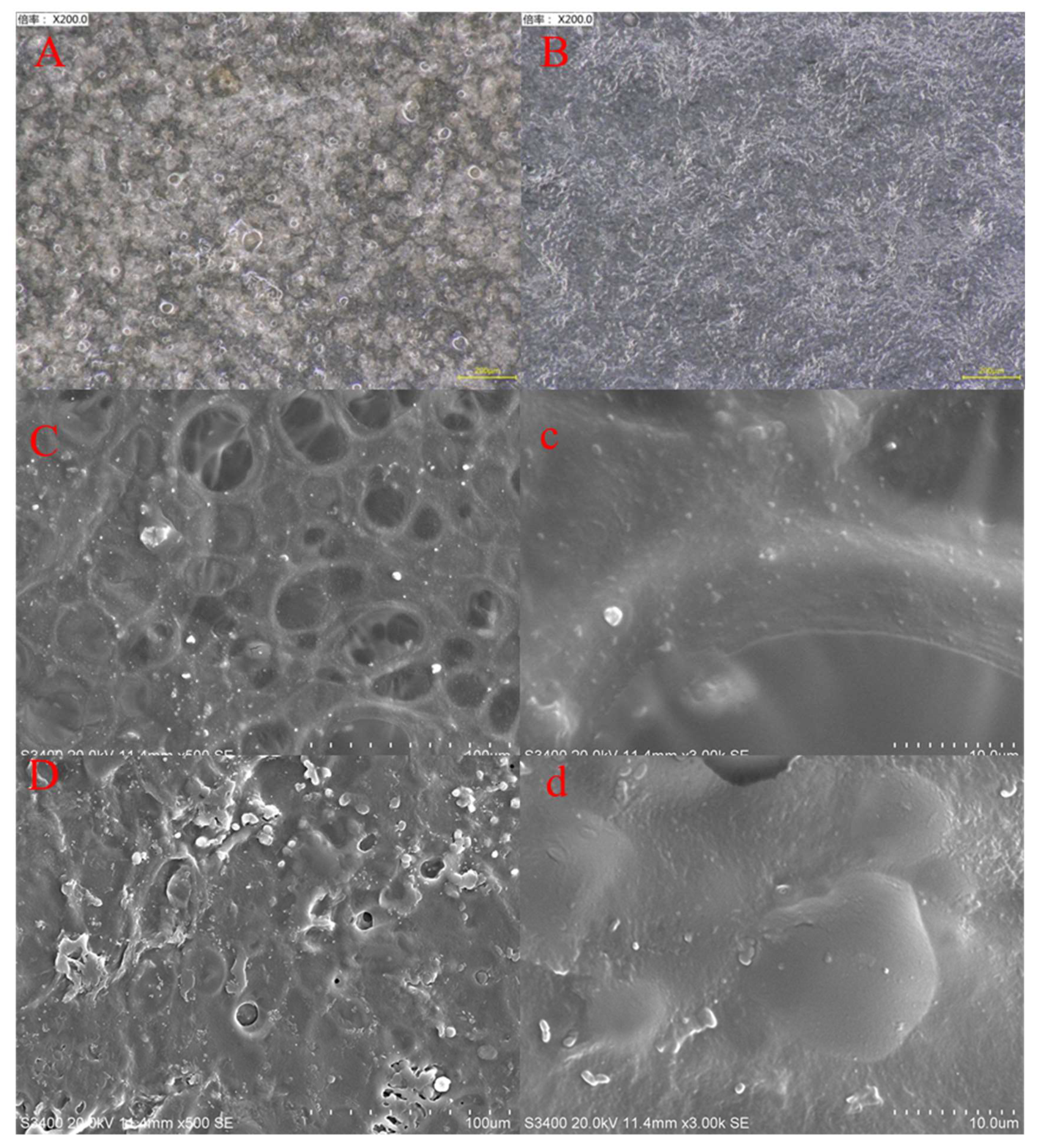 Molecules 25 02044 g004 Molecules 25 02044 g004