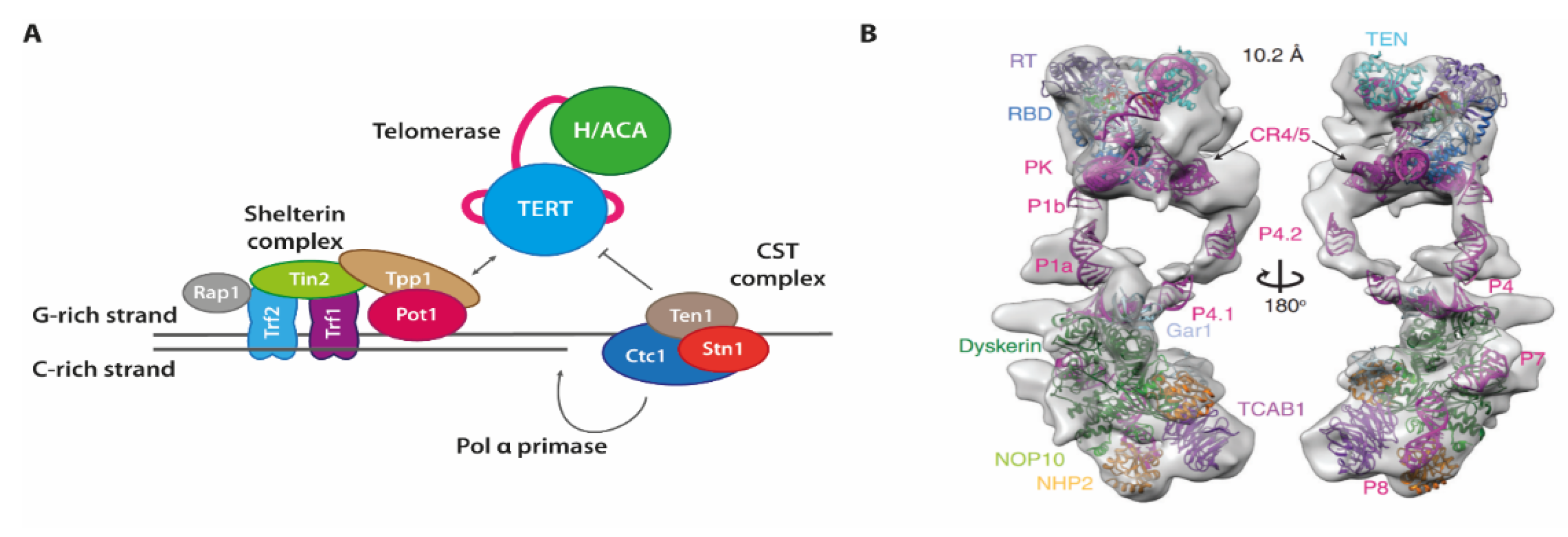 Molecules 25 02057 g006