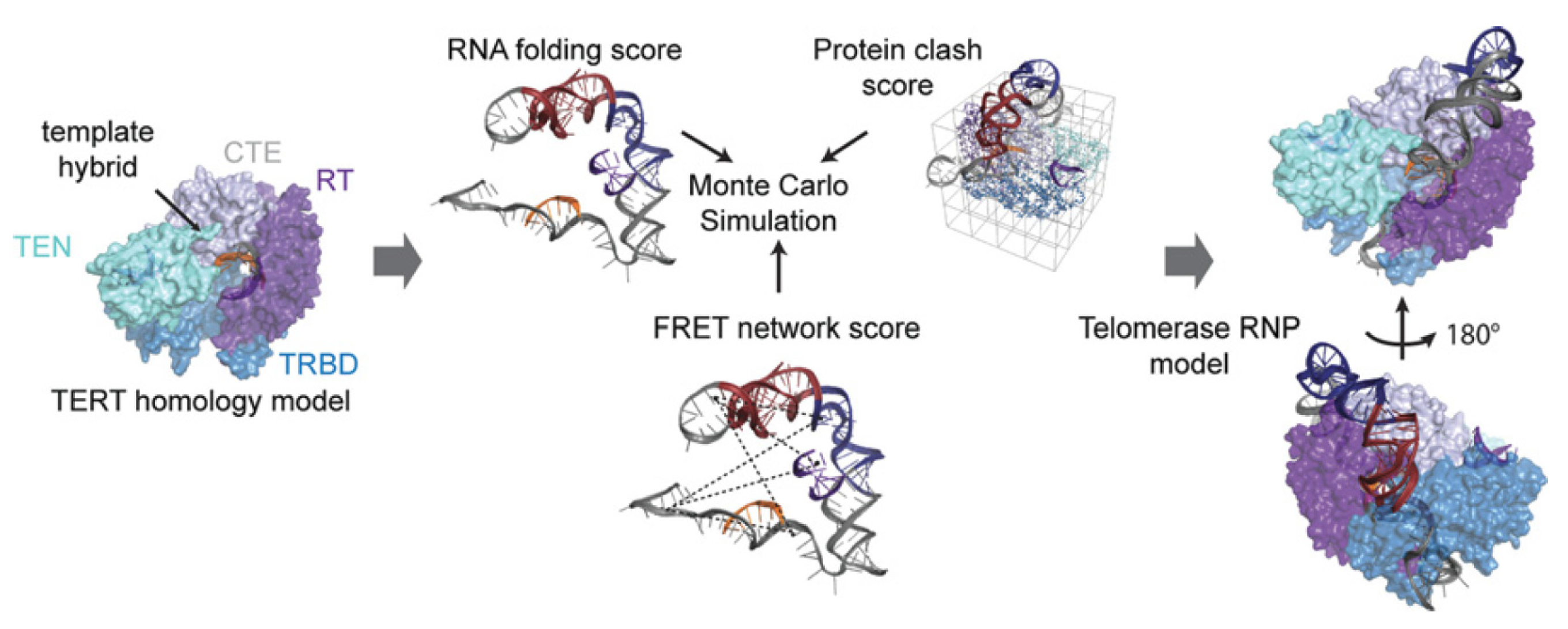 Molecules 25 02057 g008