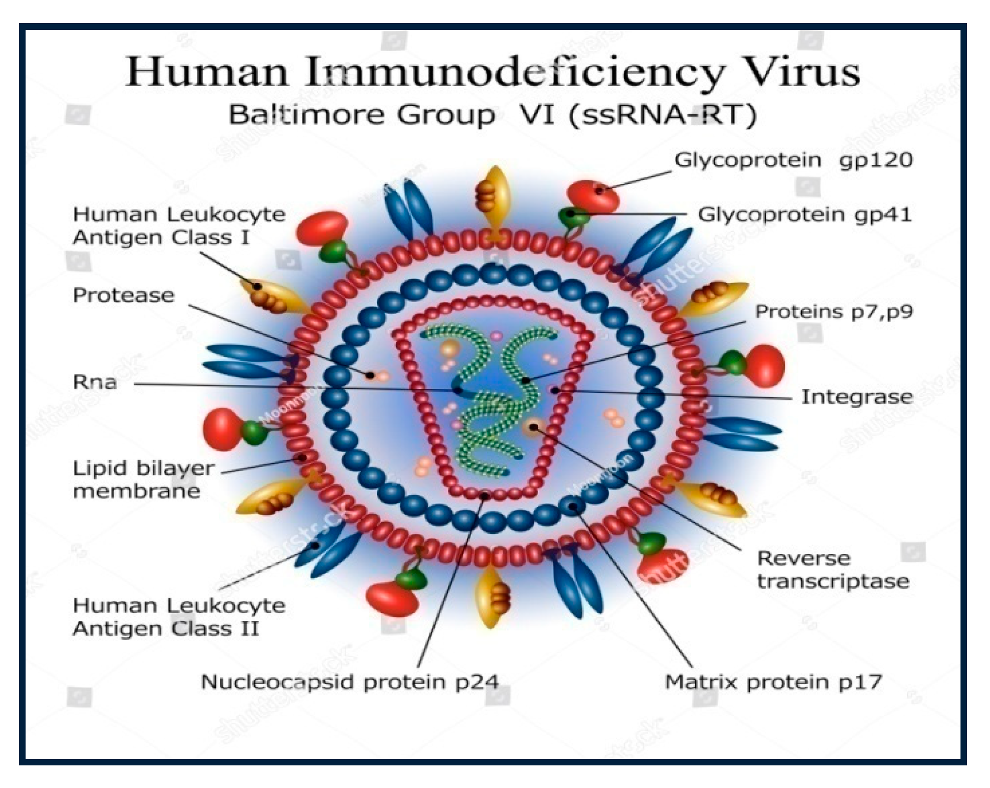 Molecules 25 02070 g001 Molecules 25 02070 g001