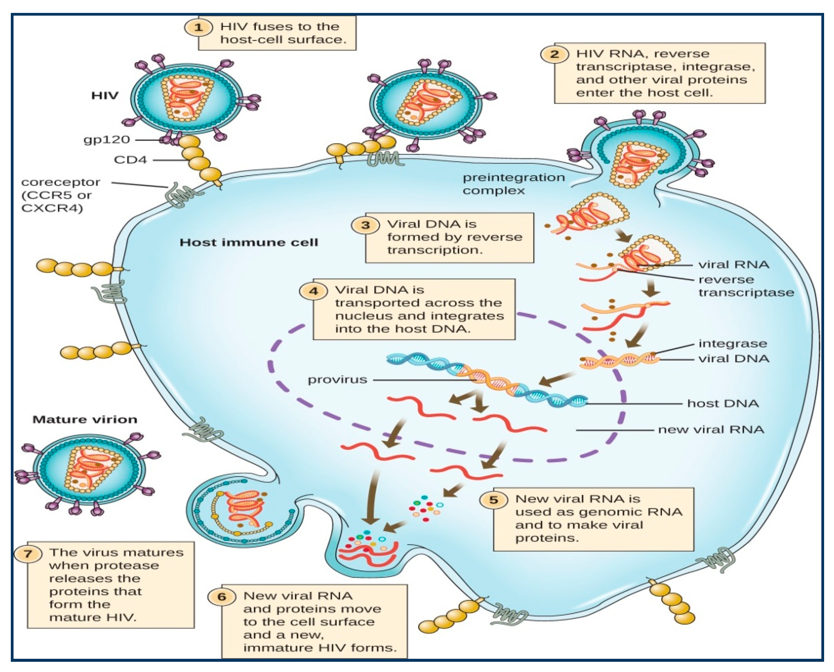 Molecules 25 02070 g002 Molecules 25 02070 g002