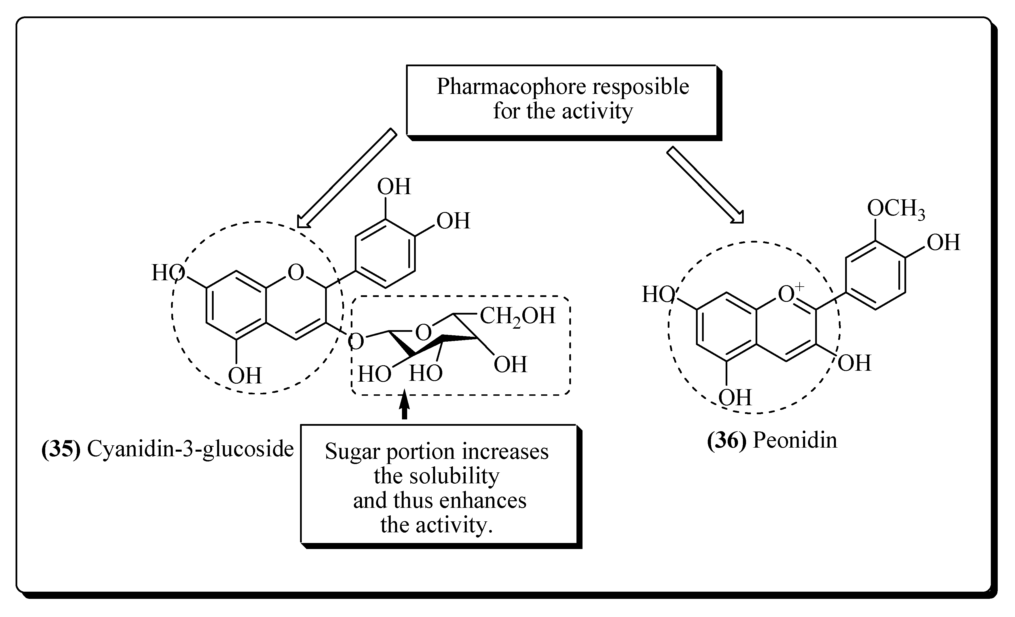 Molecules 25 02070 g009 Molecules 25 02070 g009