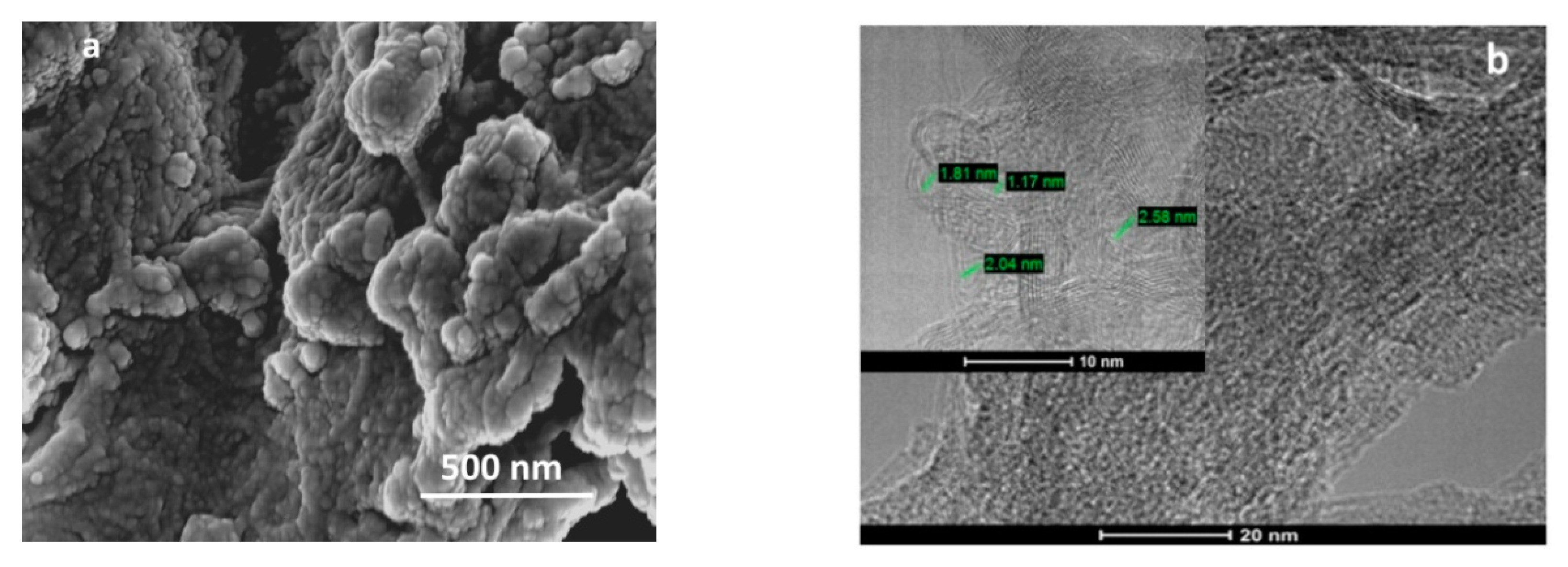 Molecules 25 02073 g006 Molecules 25 02073 g006
