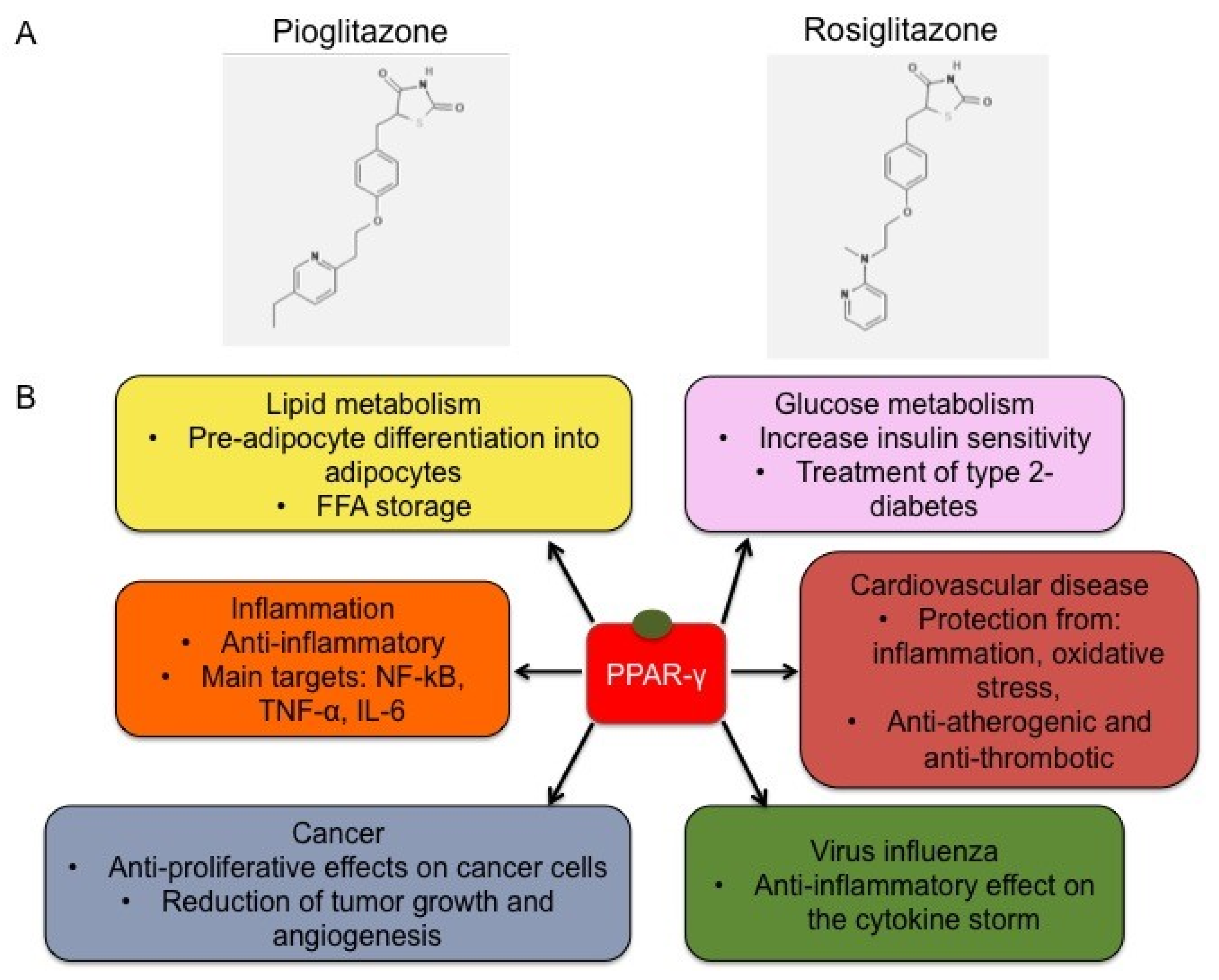 Molecules 25 02076 g002 Molecules 25 02076 g002