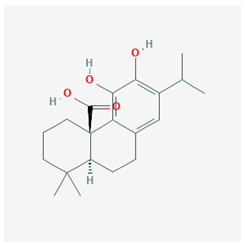 Molecules 25 02076 i006 Molecules 25 02076 i006
