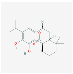 Molecules 25 02076 i007 Molecules 25 02076 i007
