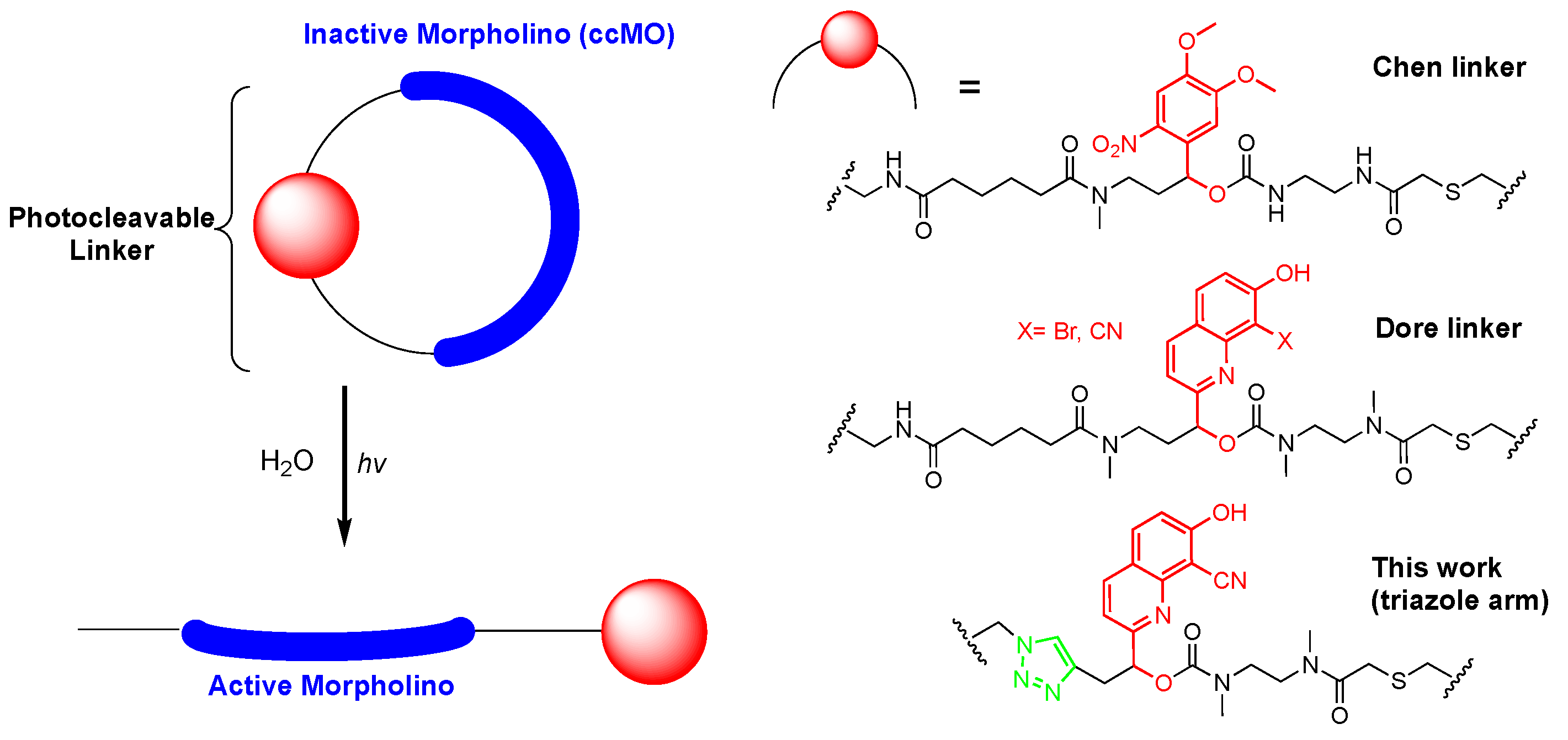 Molecules 25 02078 g001 Molecules 25 02078 g001