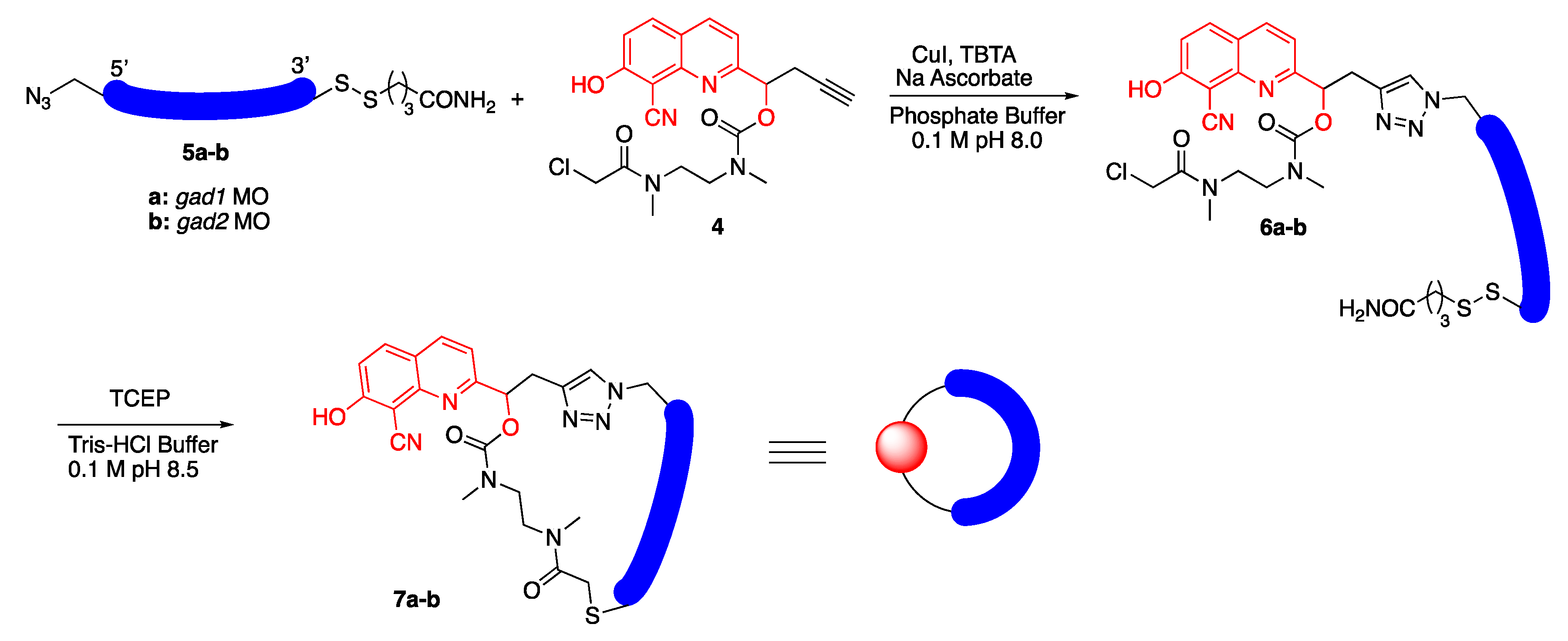Molecules 25 02078 sch002 Molecules 25 02078 sch002