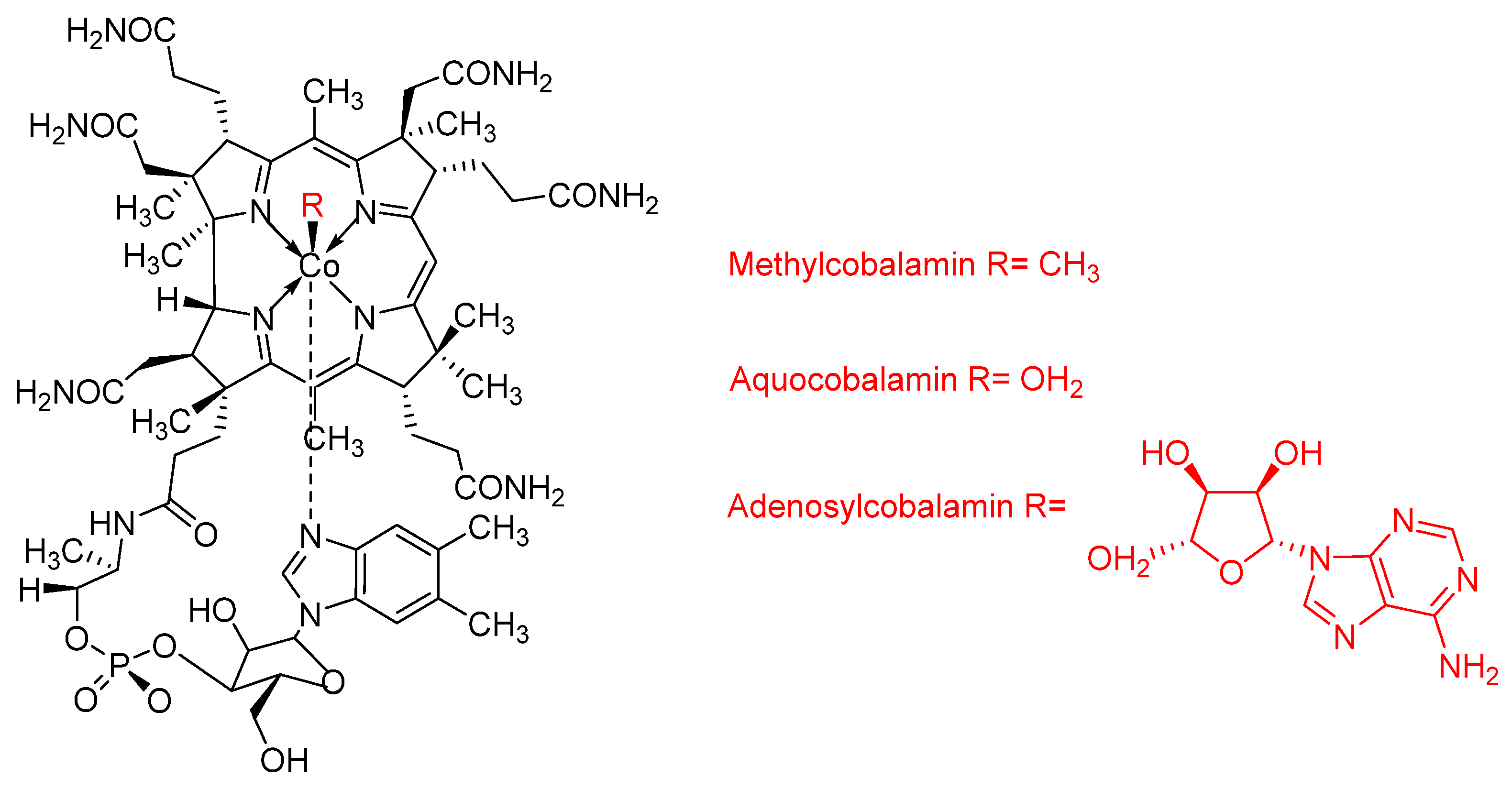 Molecules 25 02080 g015