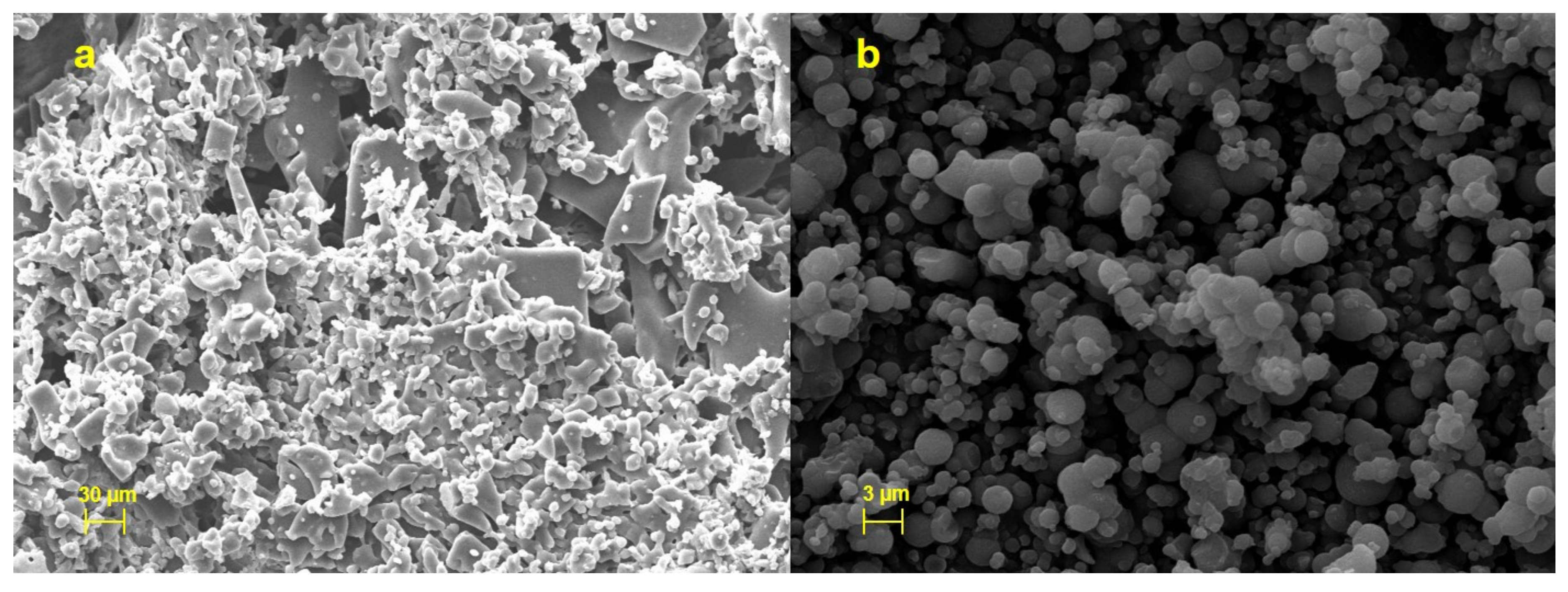Molecules 25 02086 g007