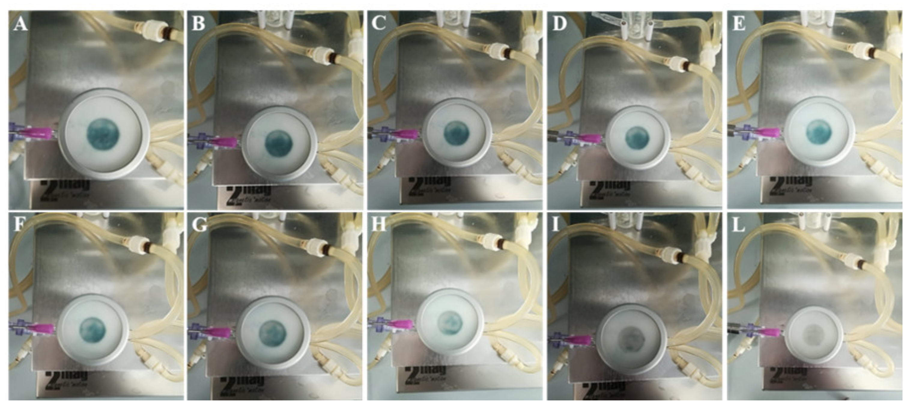 Molecules 25 02086 g008