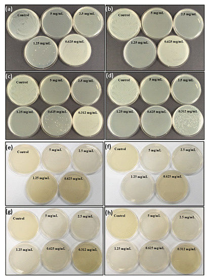 Polydopamine Nanosphere with In-Situ Loaded Gentamicin and Its