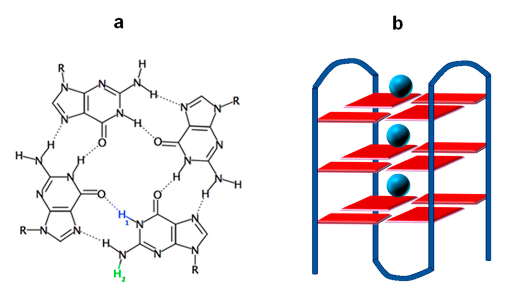 Molecules 25 02094 g001