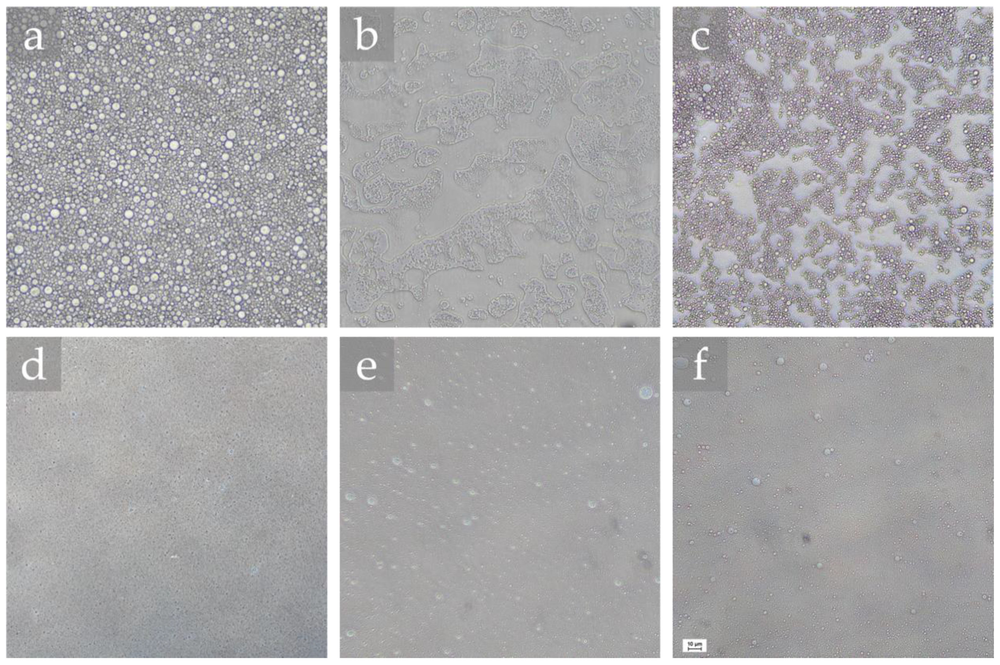 Molecules 25 02105 g001 Molecules 25 02105 g001