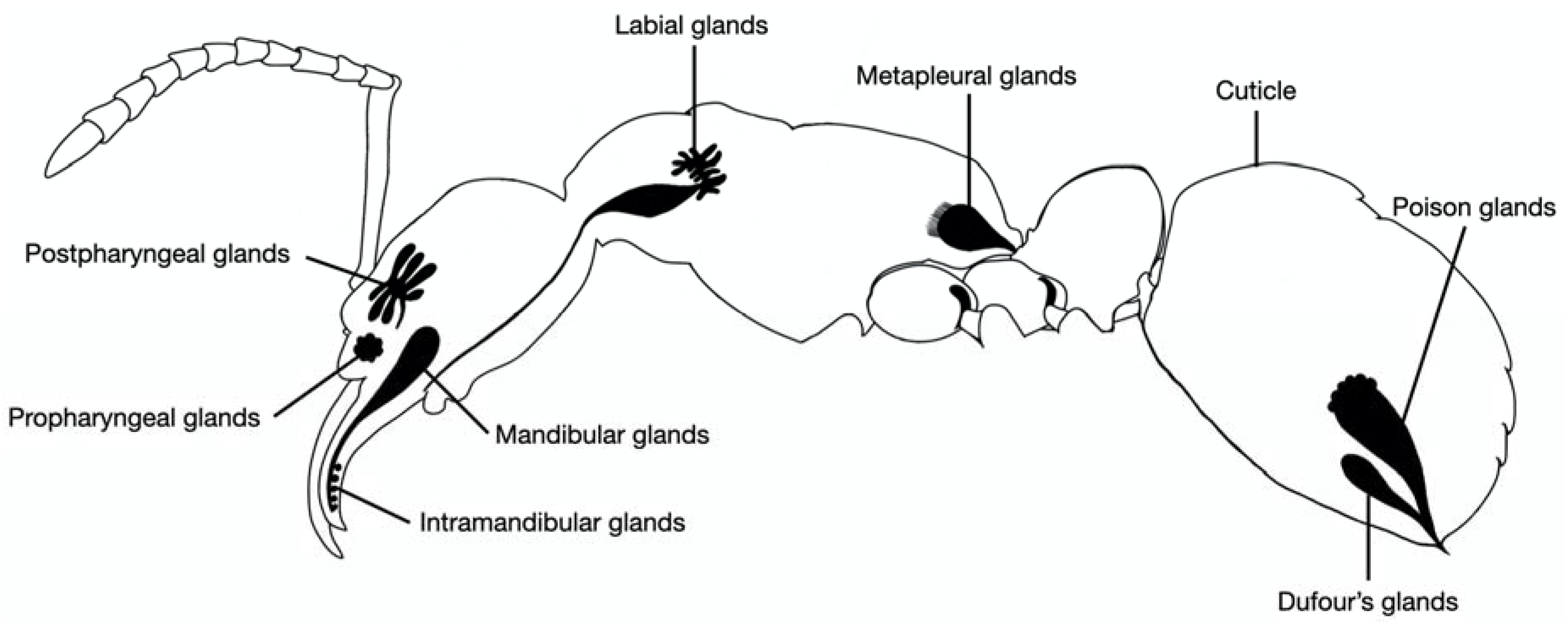 Molecules 25 02112 g003 Molecules 25 02112 g003