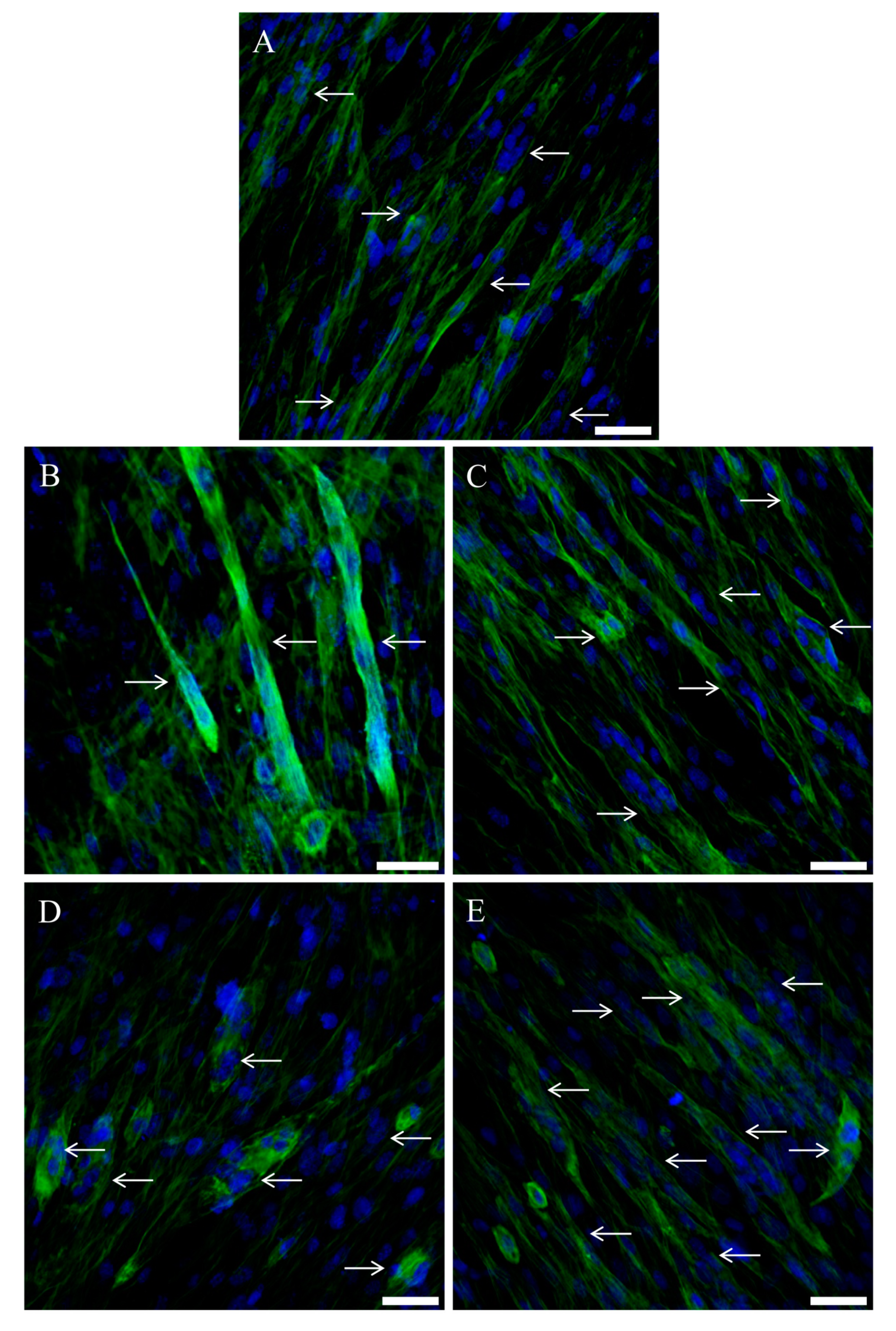 Molecules 25 02117 g005 Molecules 25 02117 g005