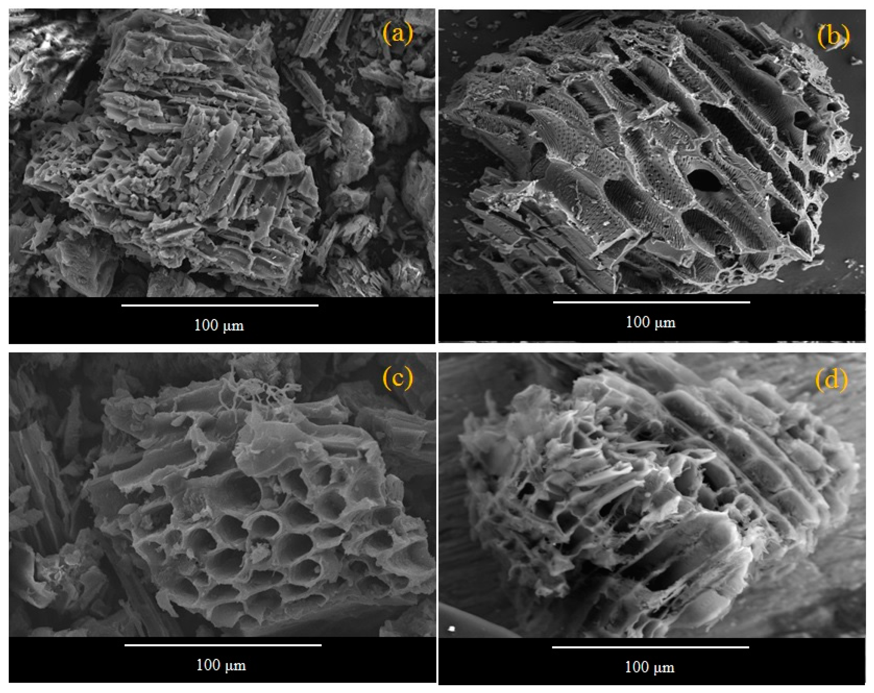 Molecules 25 02118 g001