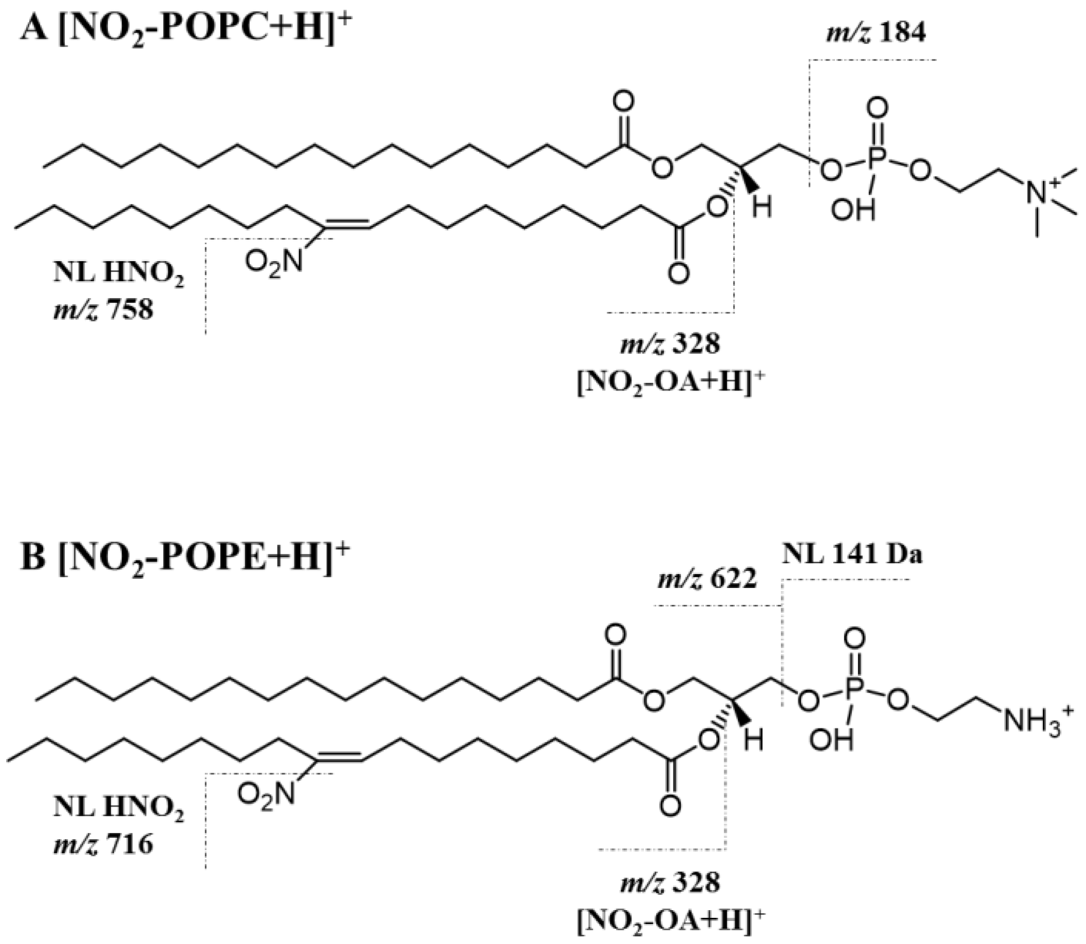 Molecules 25 02120 g003