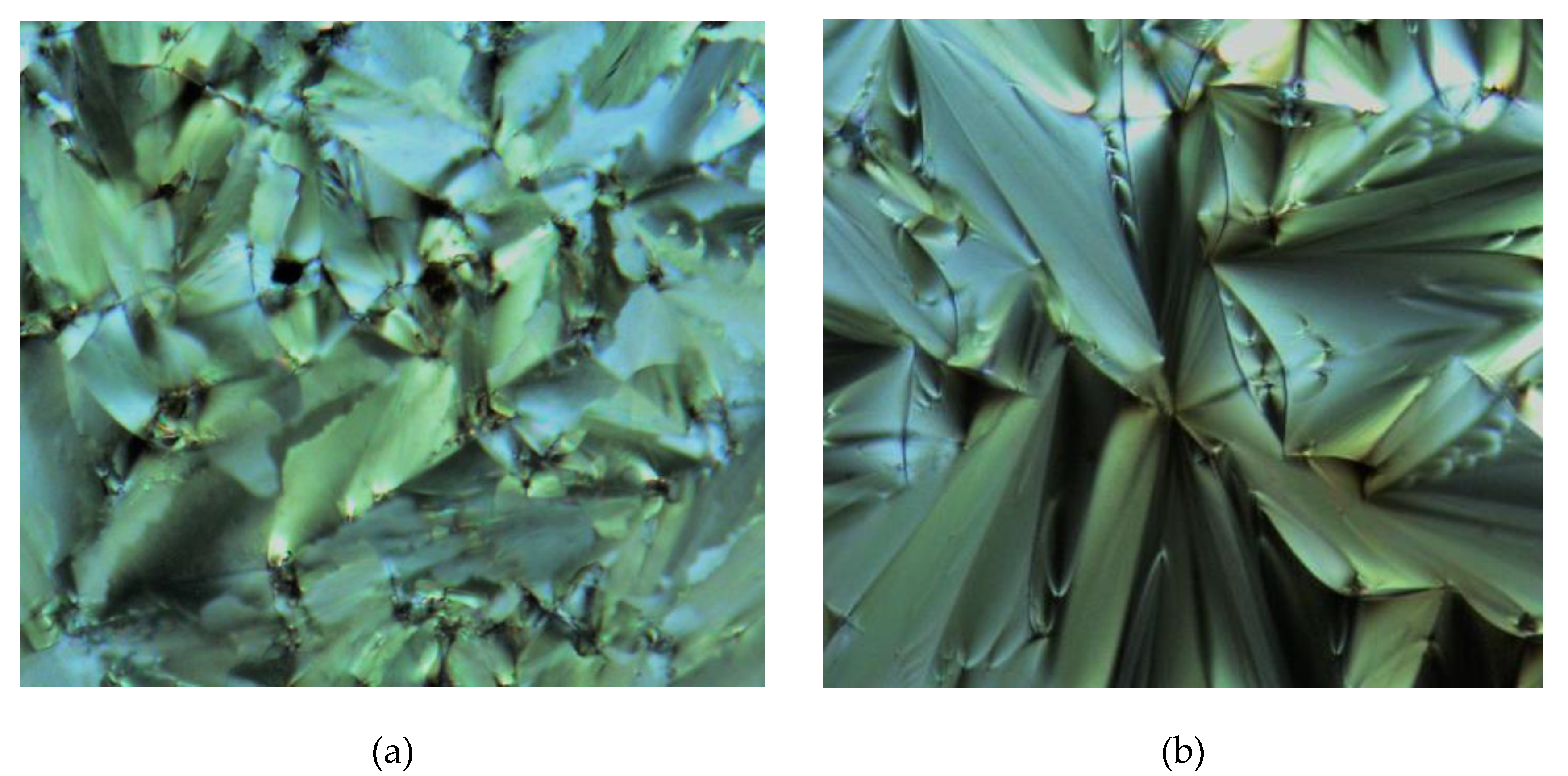 Molecules 25 02122 g010 Molecules 25 02122 g010