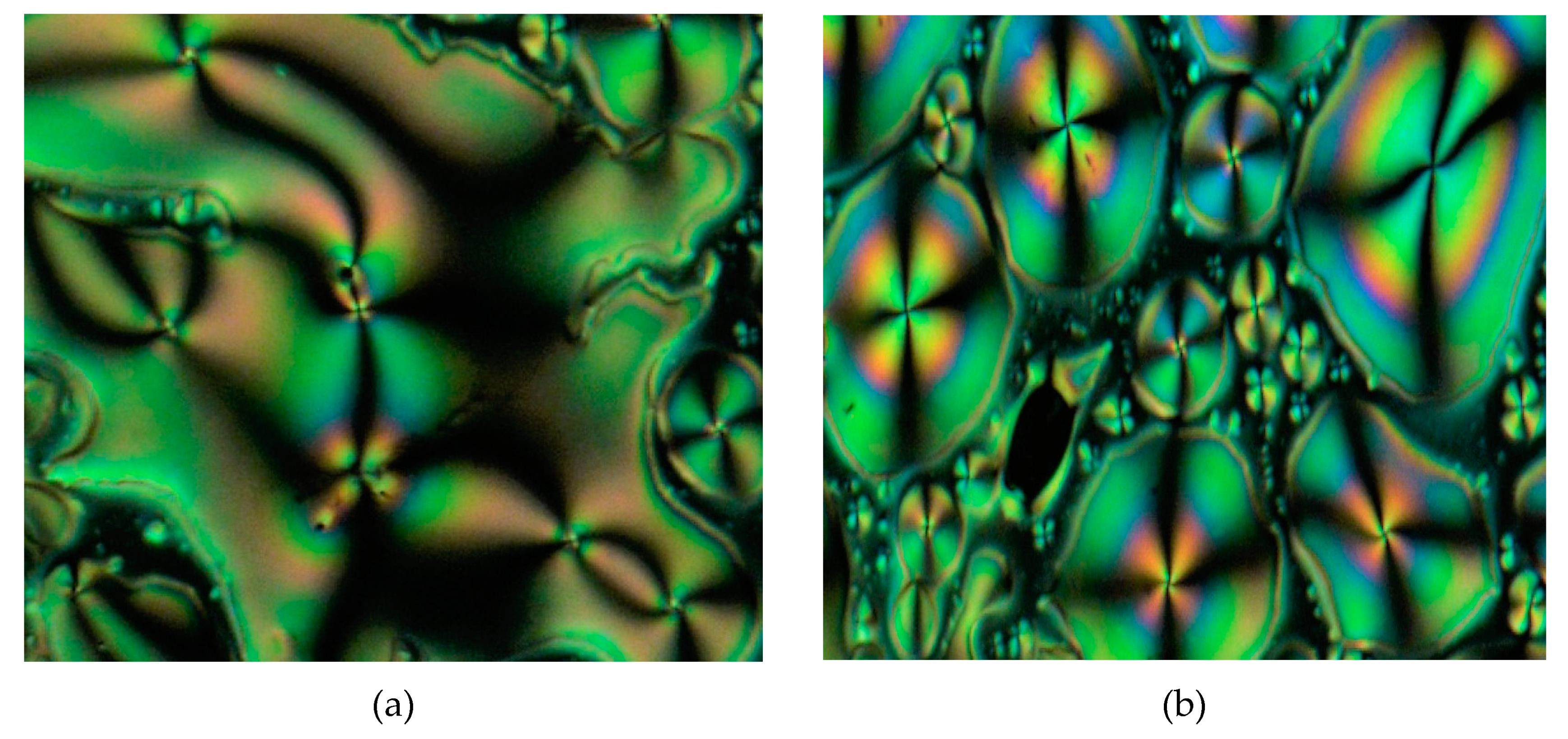 Molecules 25 02122 g011 Molecules 25 02122 g011