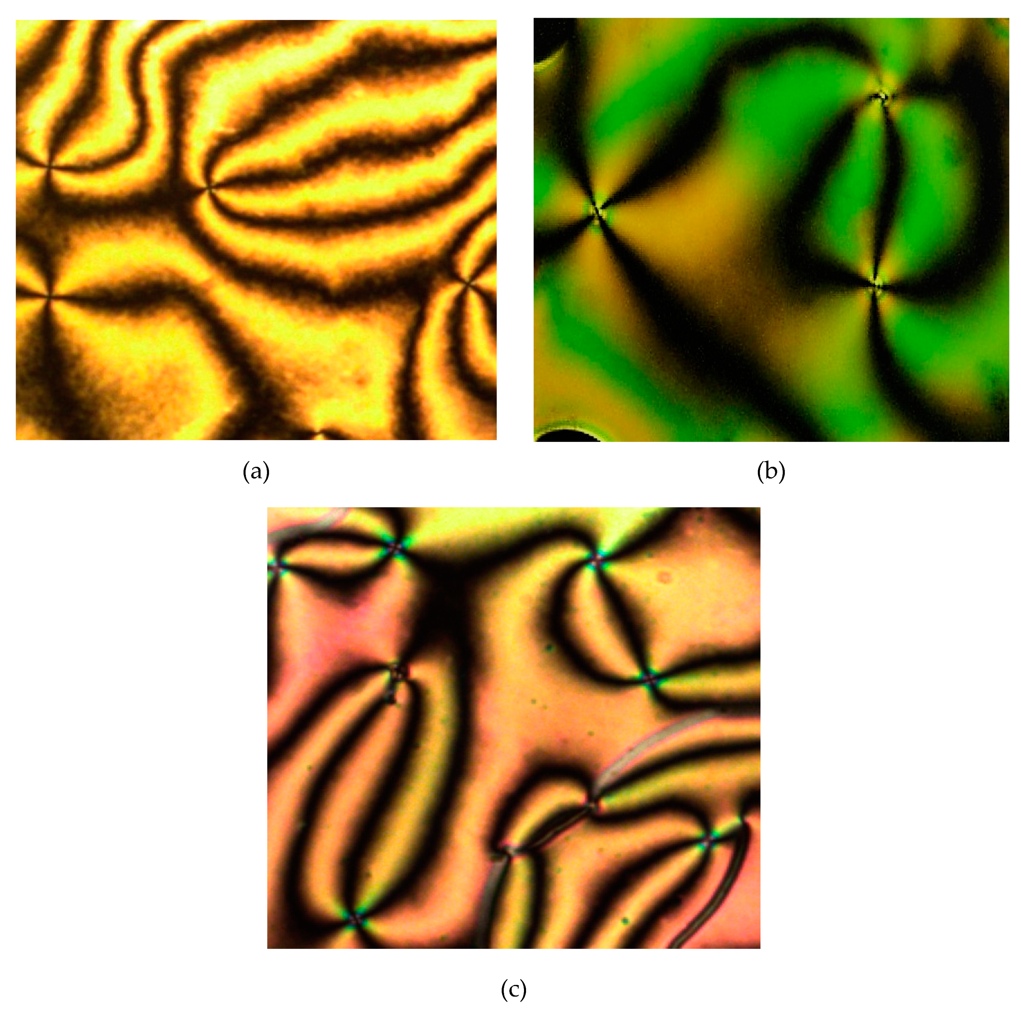 Molecules 25 02122 g012 Molecules 25 02122 g012