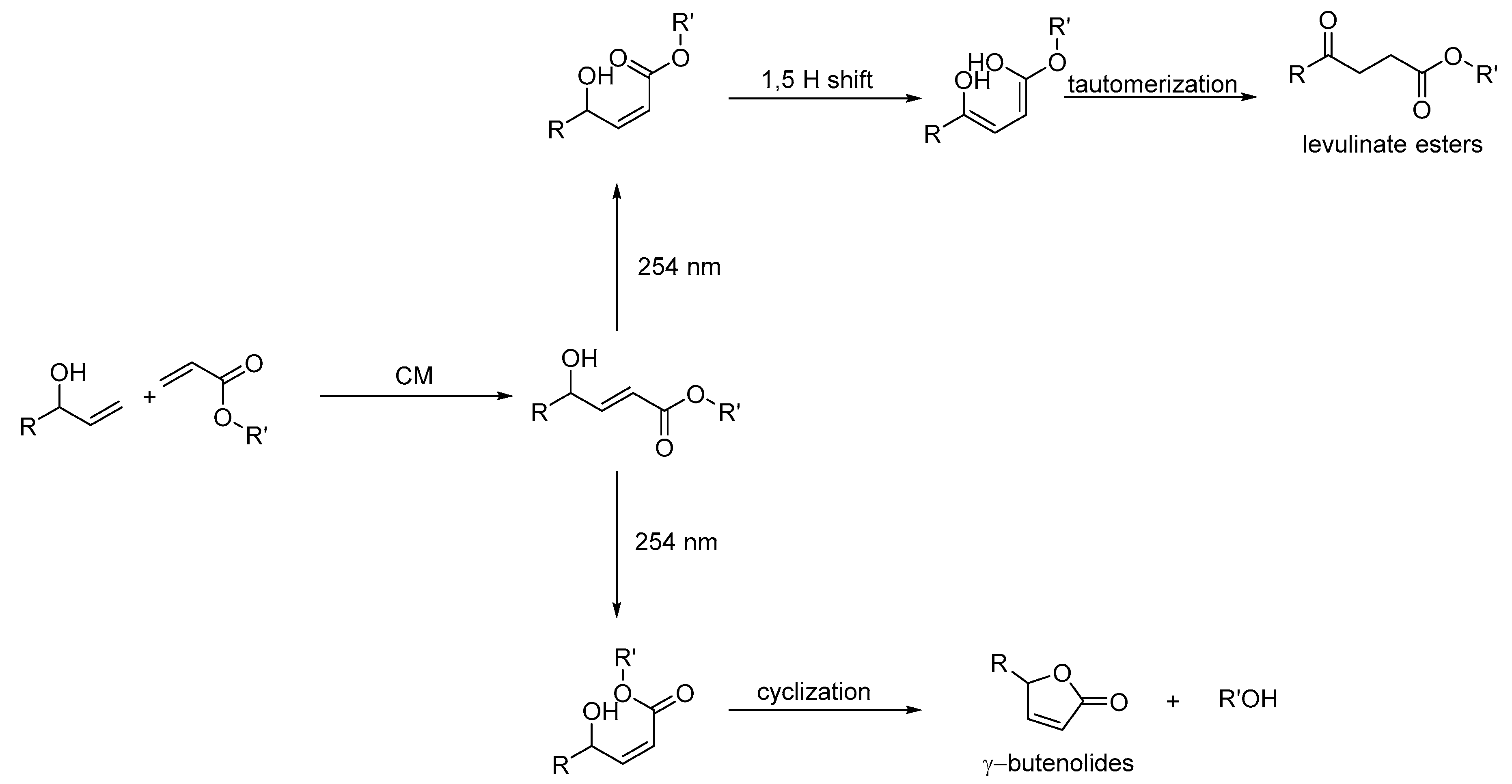 Molecules 25 02125 sch003