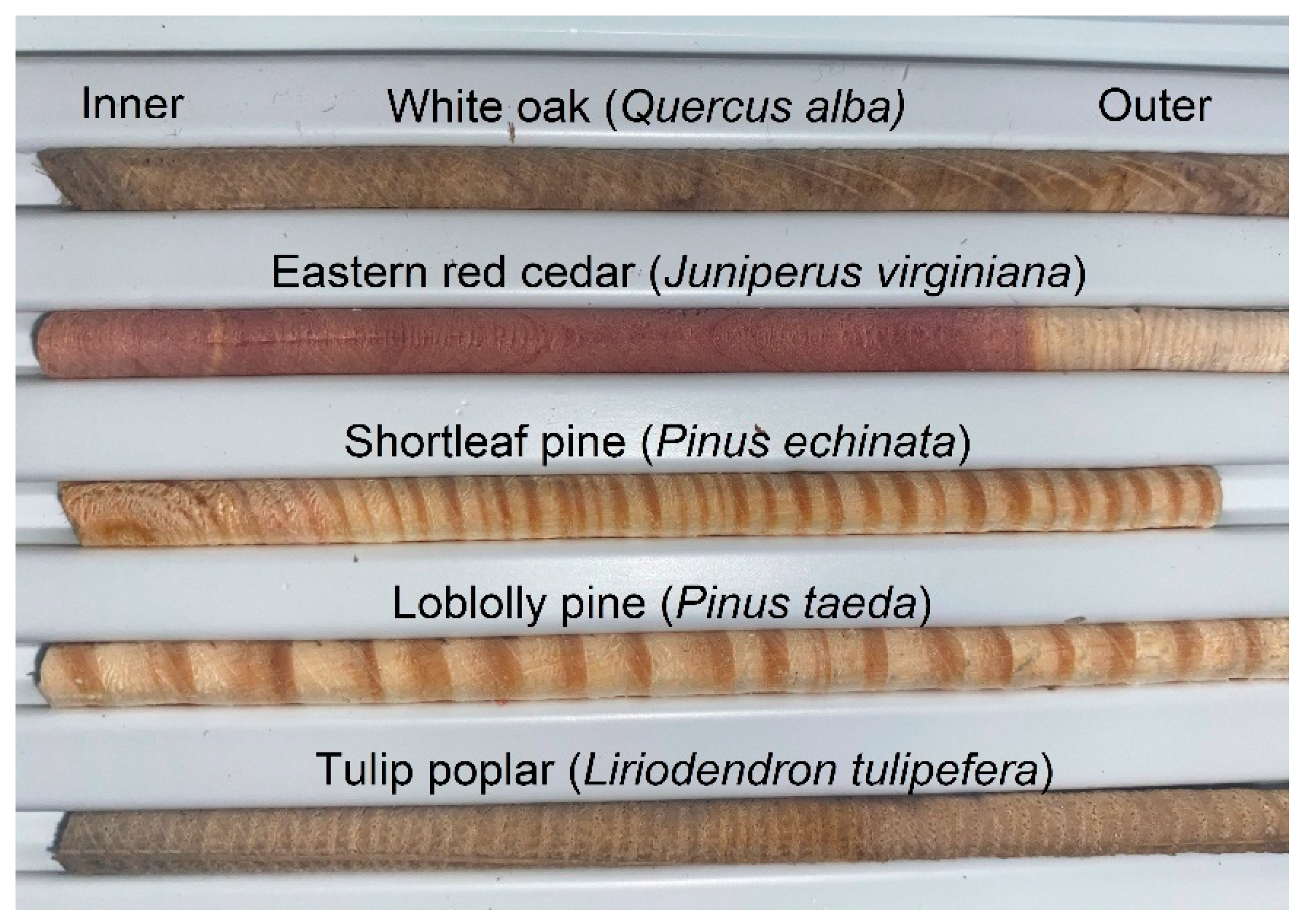 Molecules 25 02126 g004