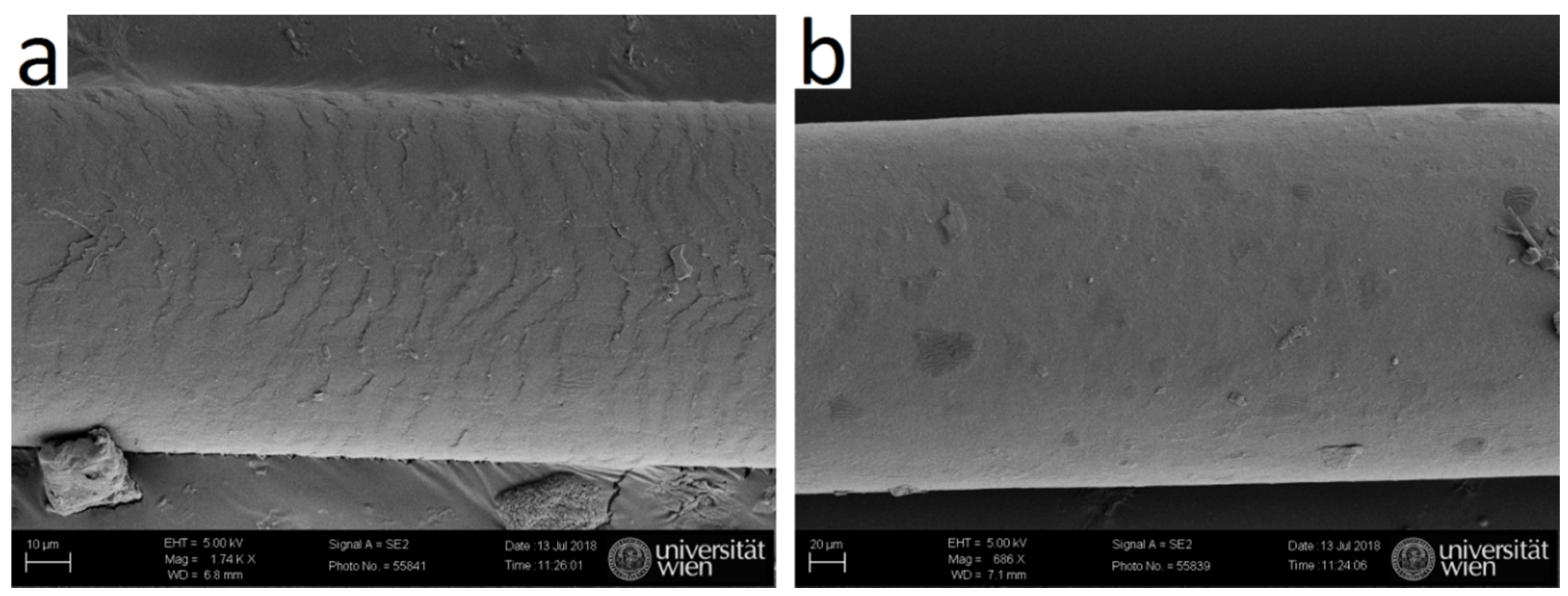 Molecules 25 02143 g011 Molecules 25 02143 g011