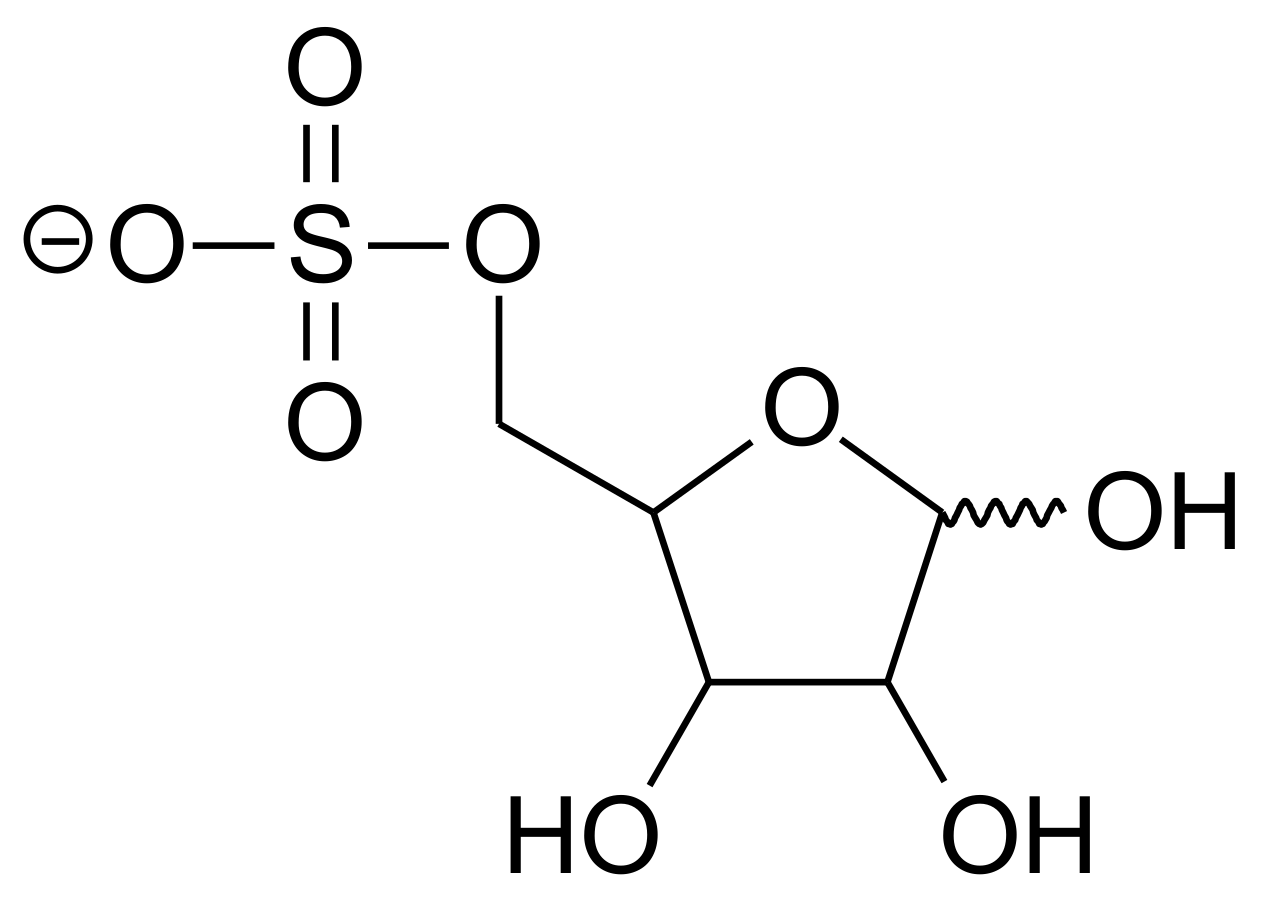 Molecules 25 02161 g001