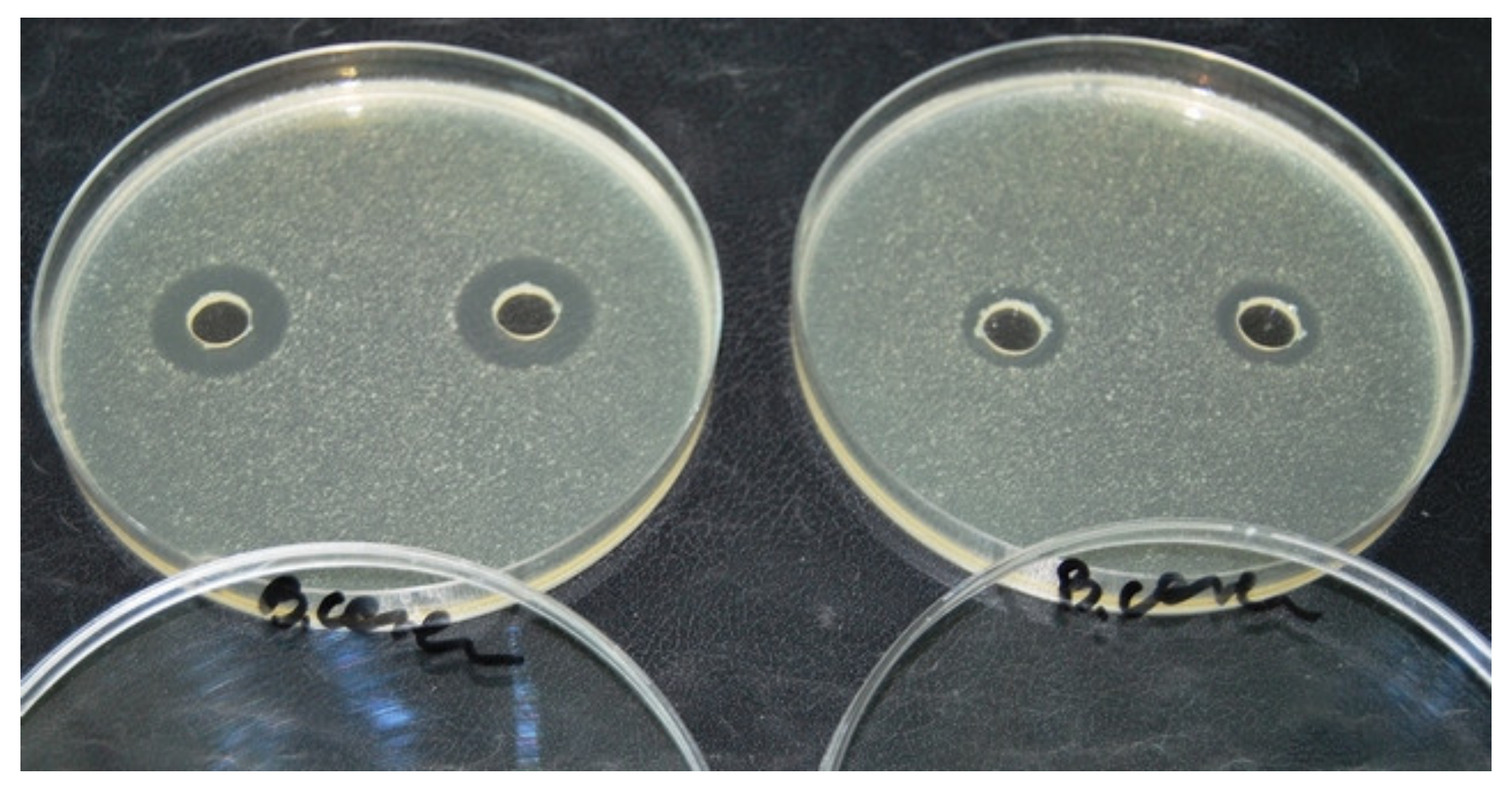 Molecules 25 02162 g006 Molecules 25 02162 g006