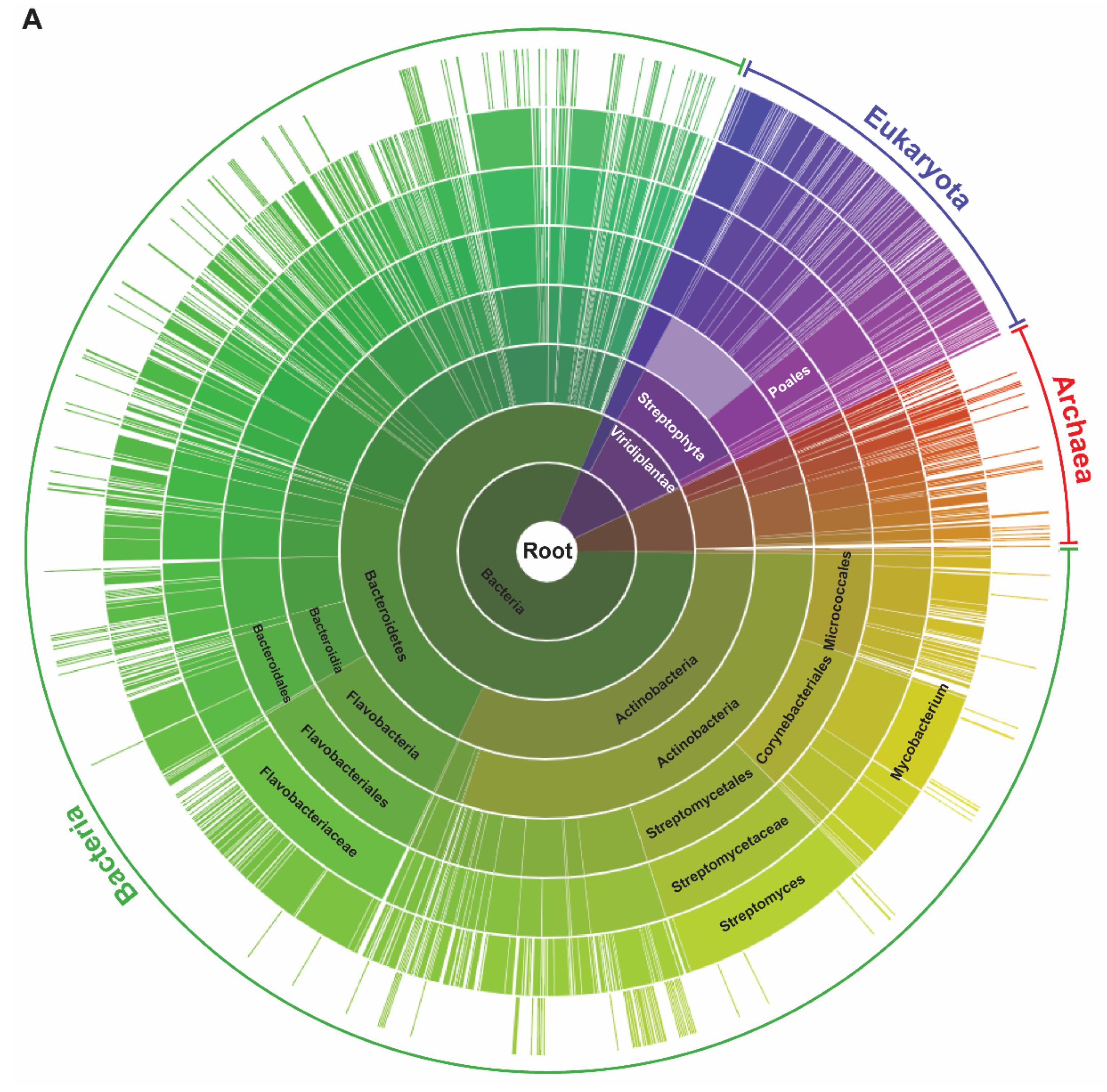 Molecules 25 02169 g001a Molecules 25 02169 g001a