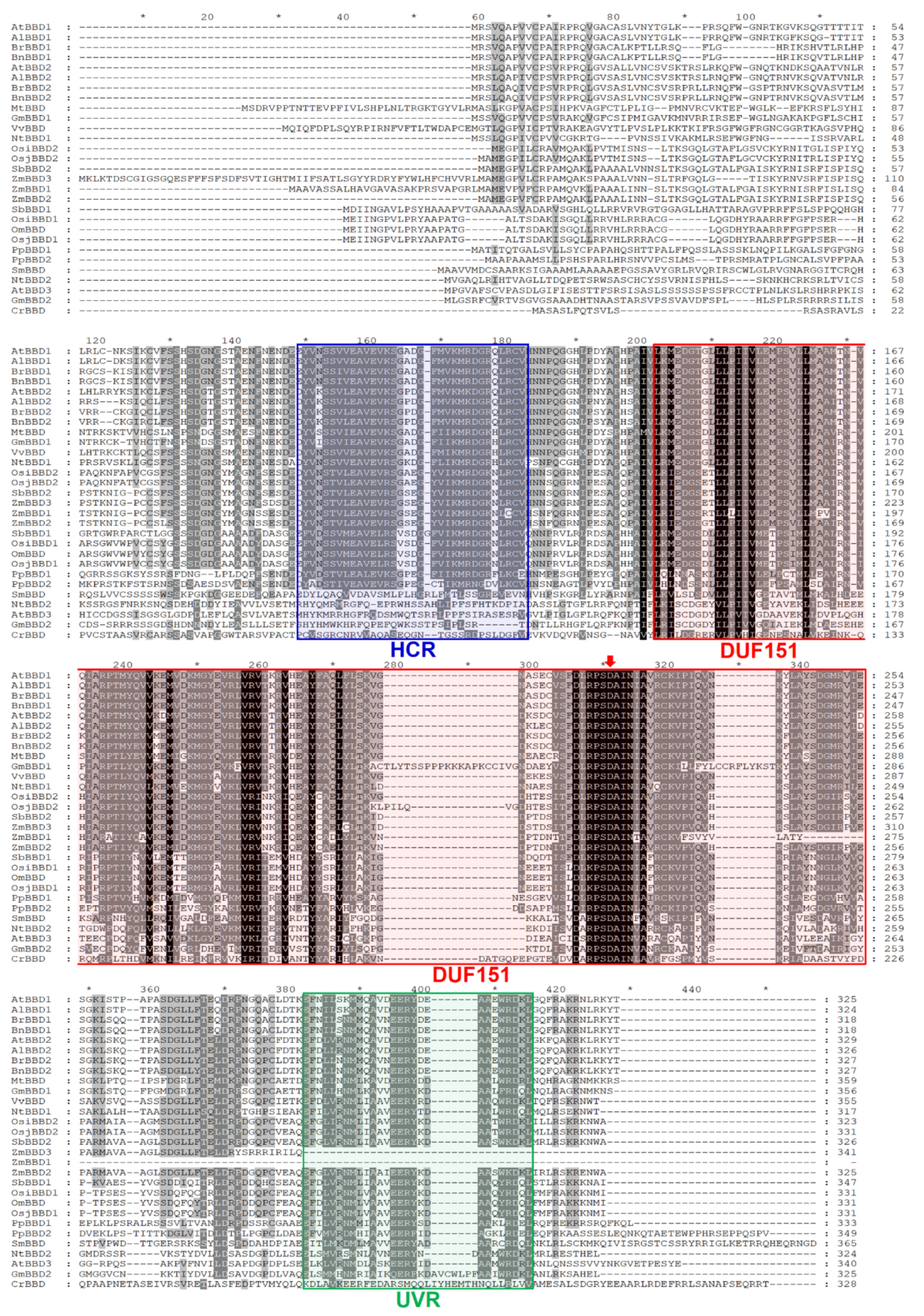 Molecules 25 02169 g002 Molecules 25 02169 g002