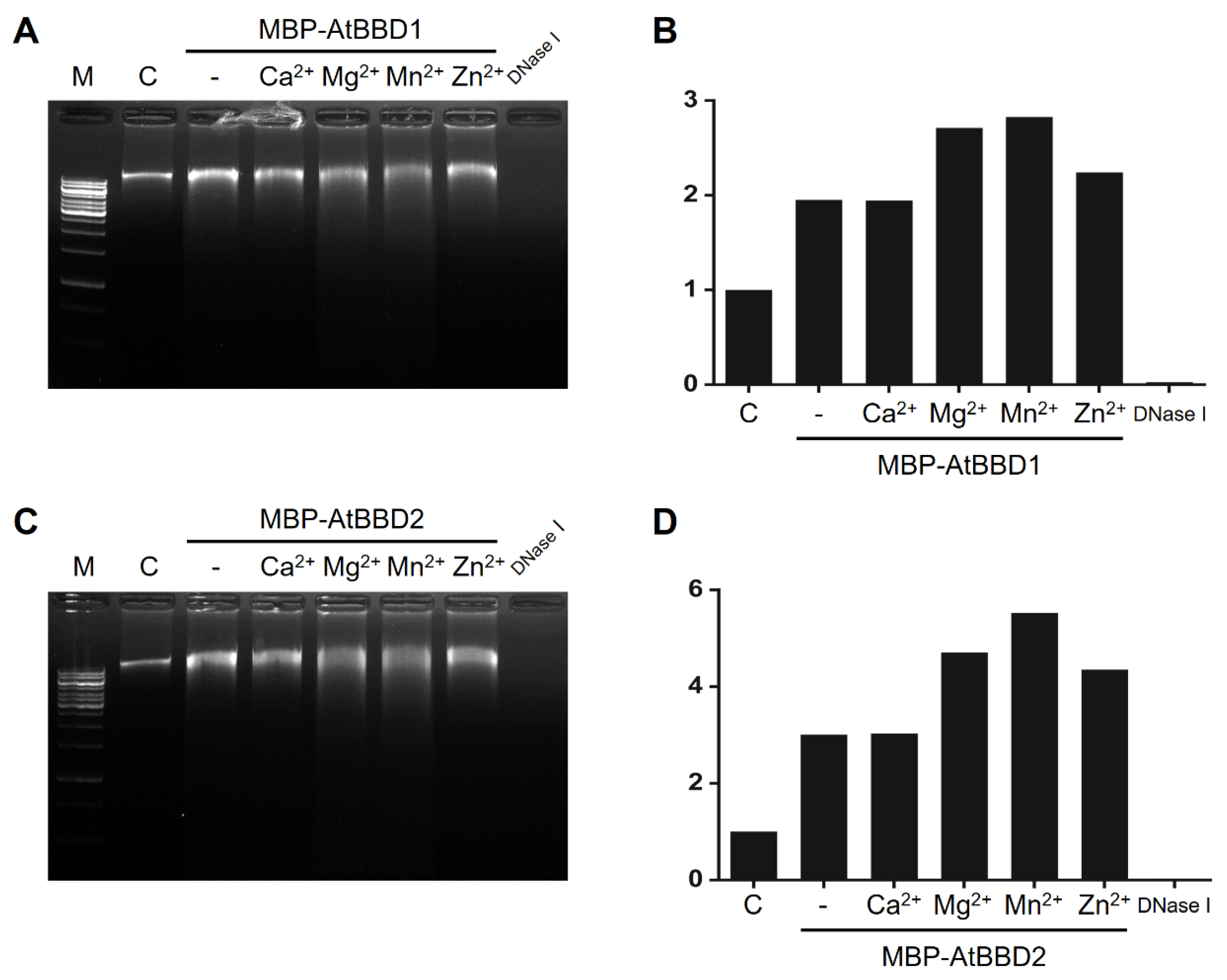 Molecules 25 02169 g005 Molecules 25 02169 g005