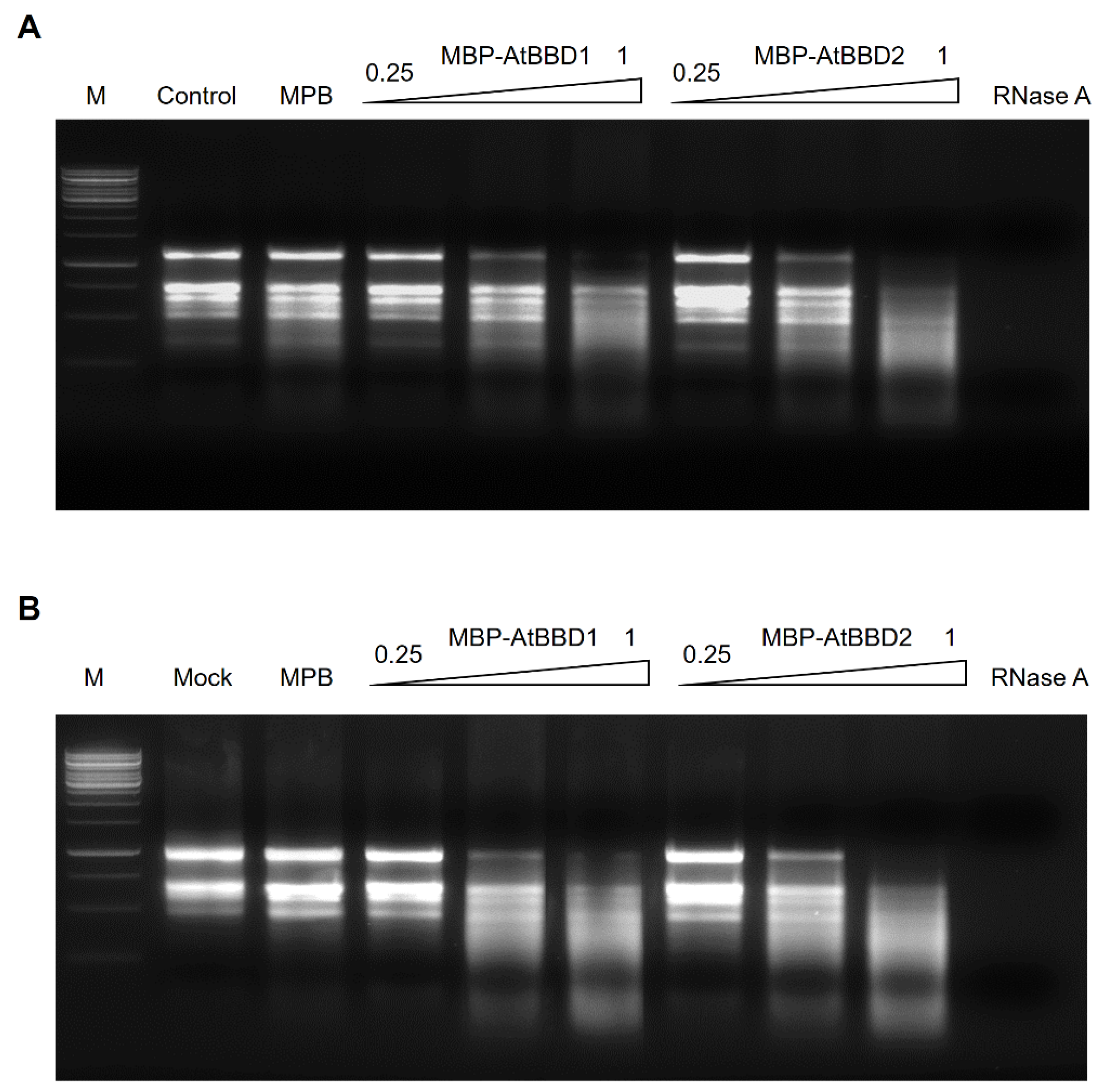 Molecules 25 02169 g007 Molecules 25 02169 g007