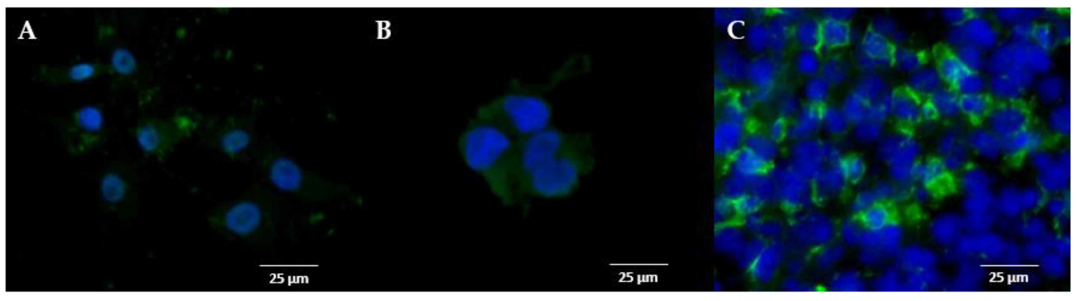 Molecules 25 02170 g001
