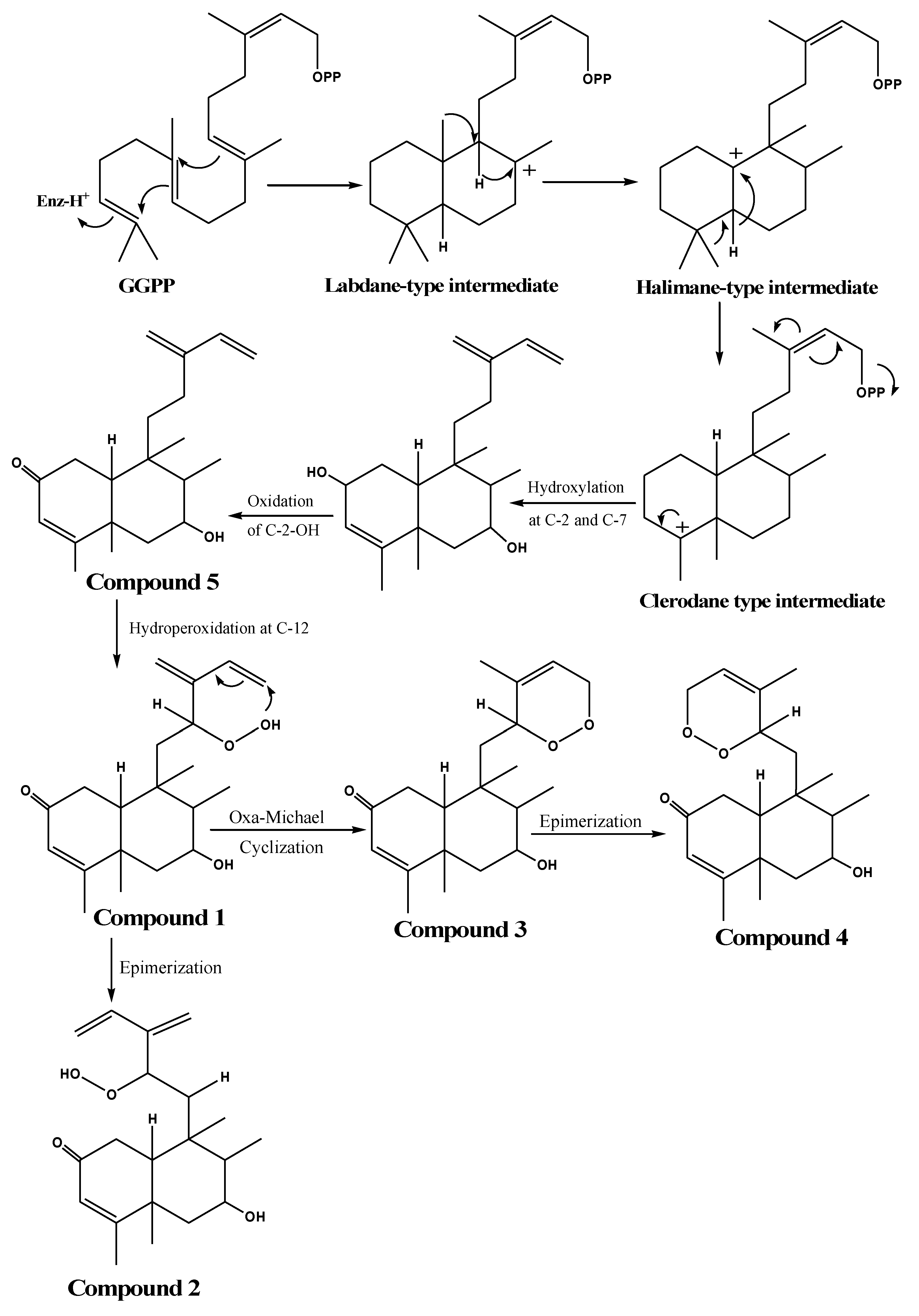 Molecules 25 02172 g004