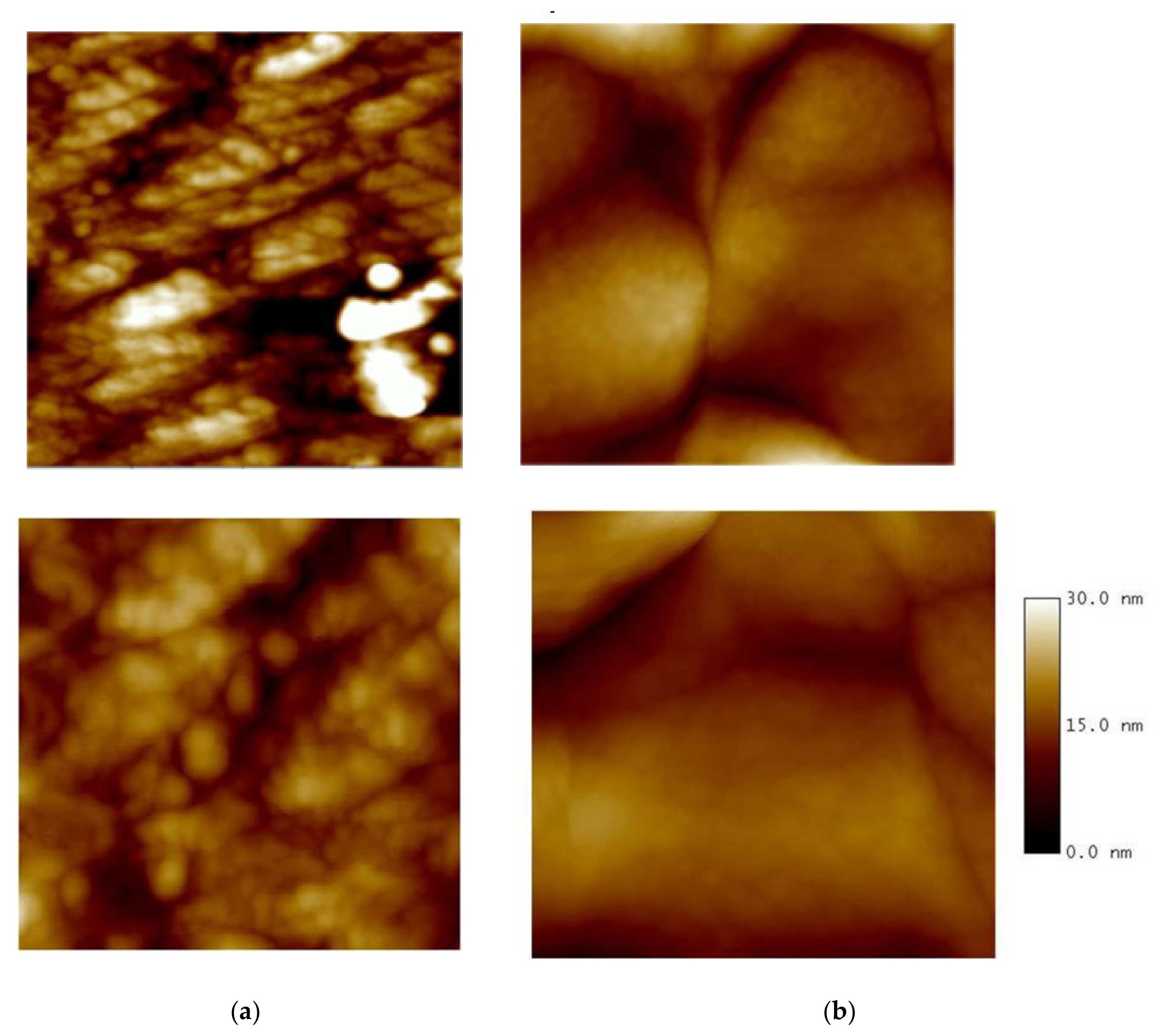 Molecules 25 02175 g009 Molecules 25 02175 g009