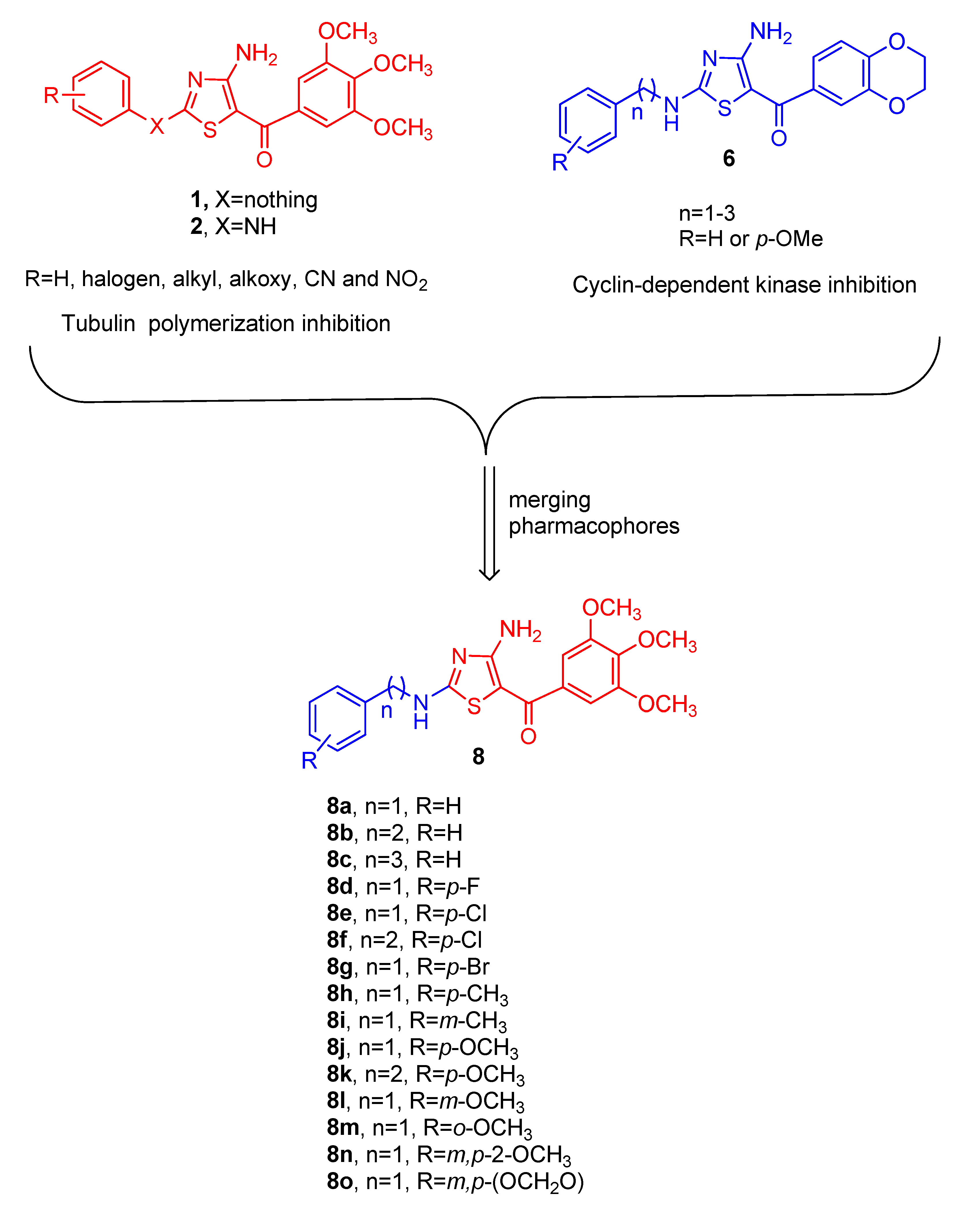 Molecules 25 02177 g002