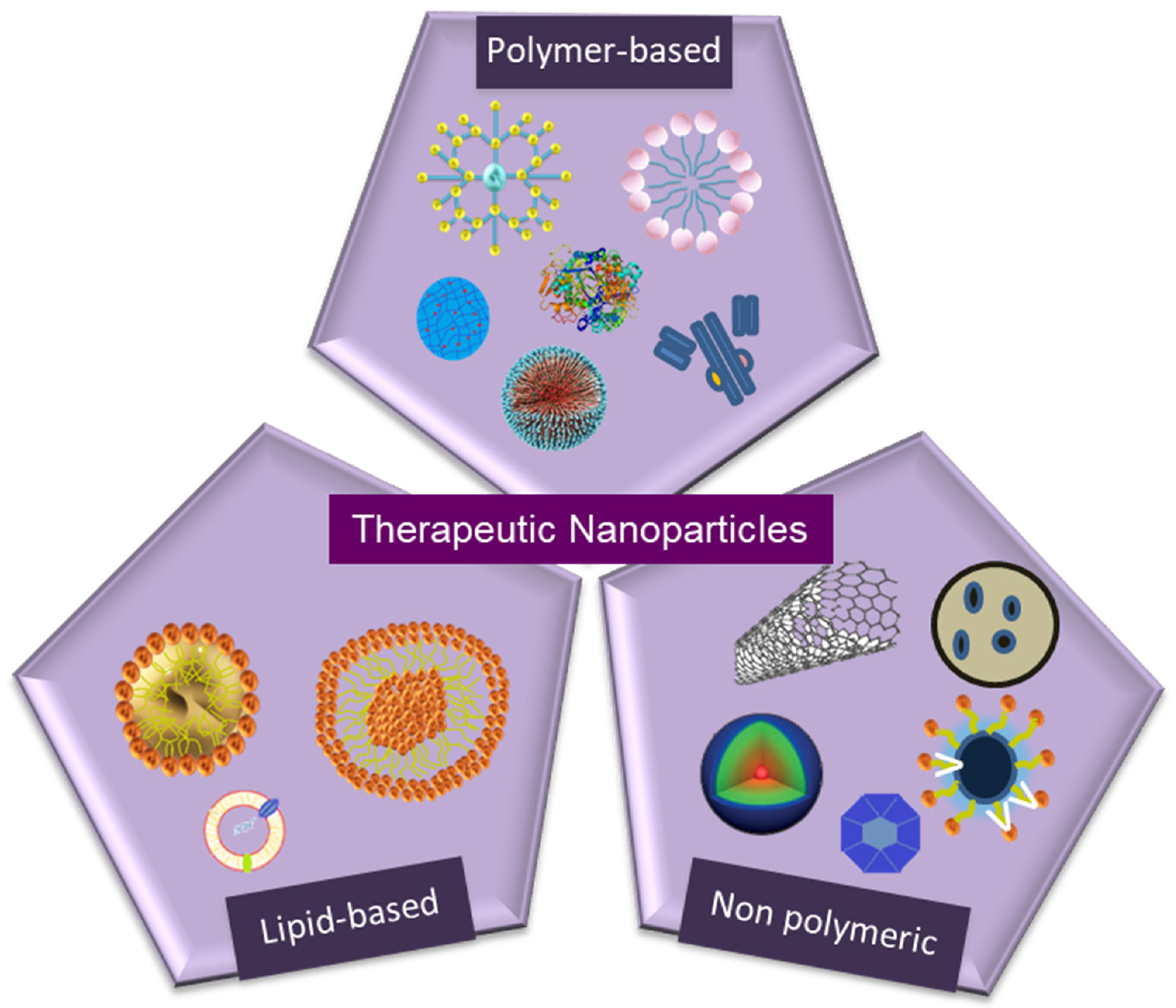 Molecules 25 02193 g002