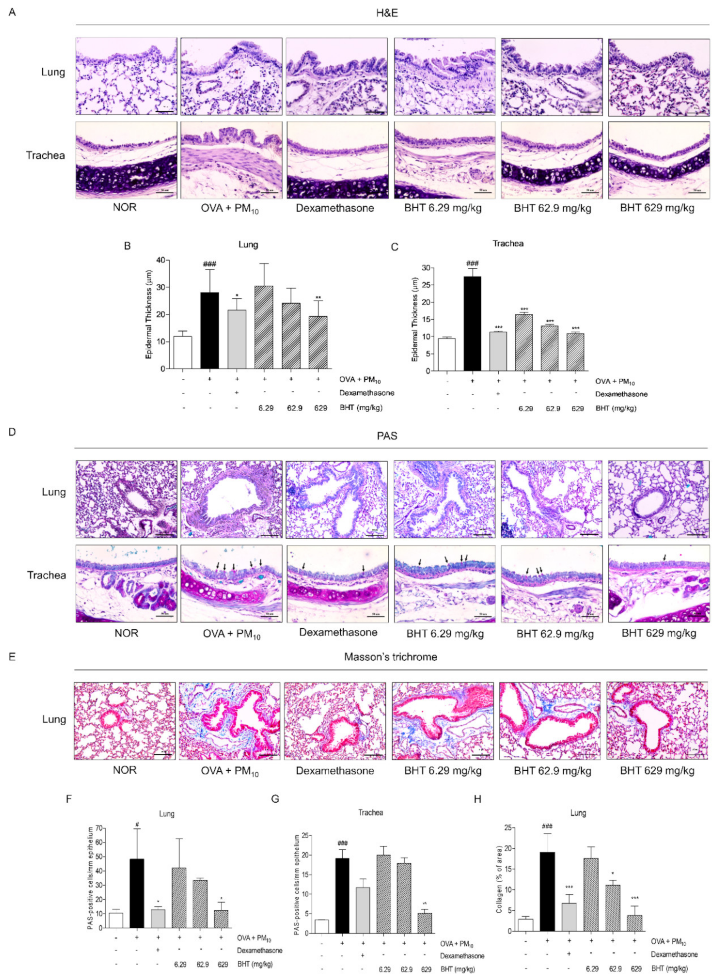 Molecules 25 02206 g001 Molecules 25 02206 g001