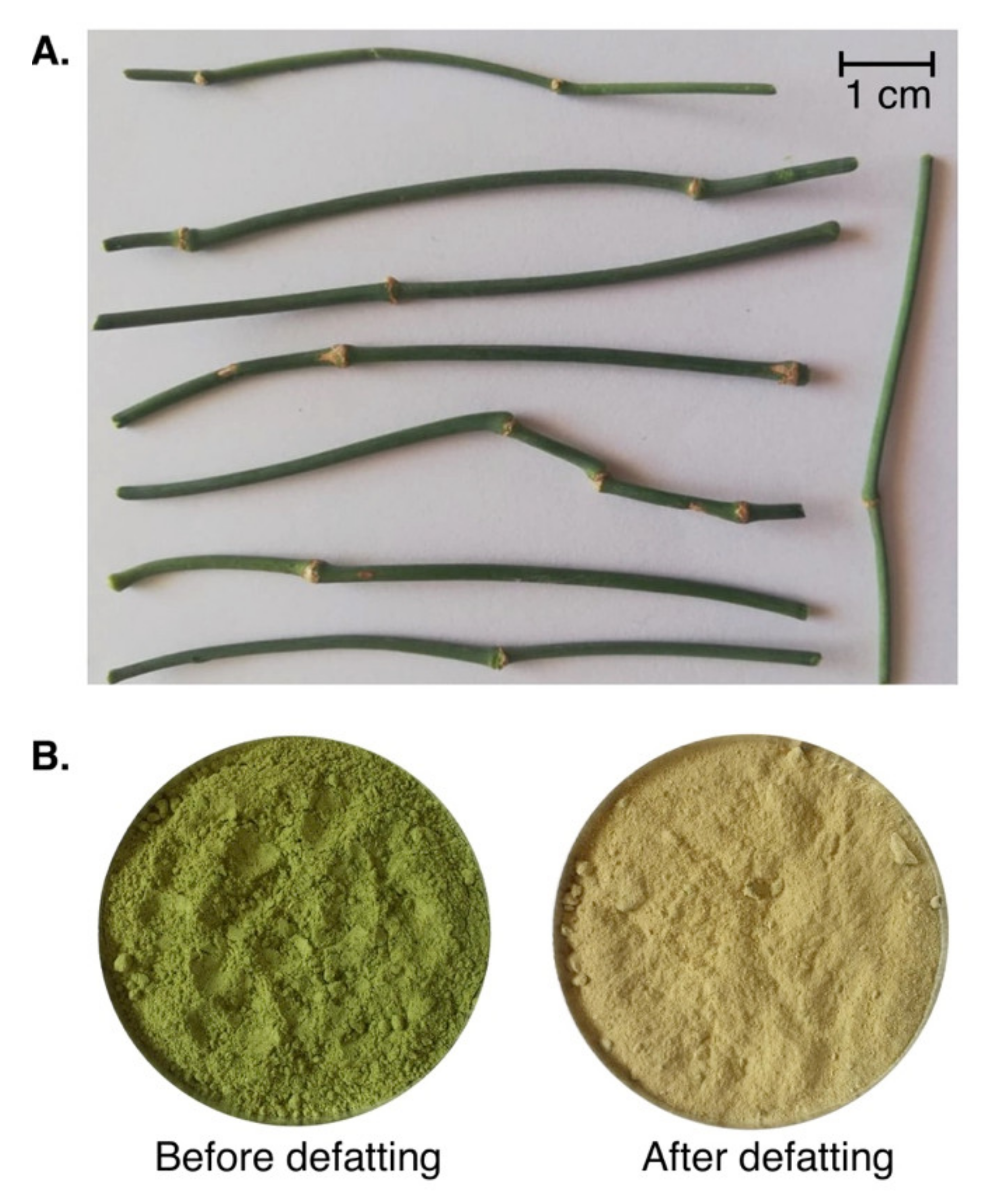 Molecules 25 02210 g006 Molecules 25 02210 g006