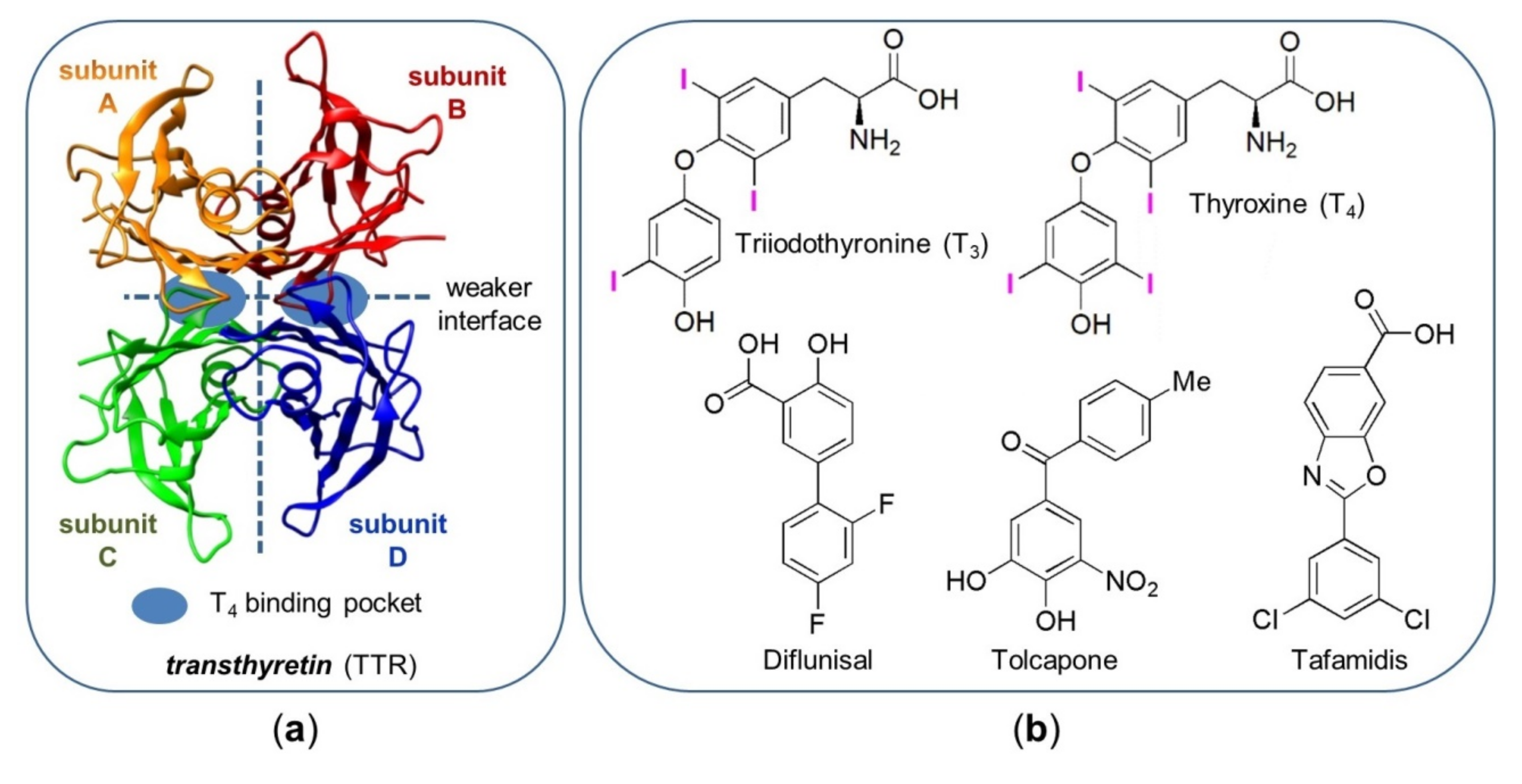 Molecules 25 02213 g001 Molecules 25 02213 g001