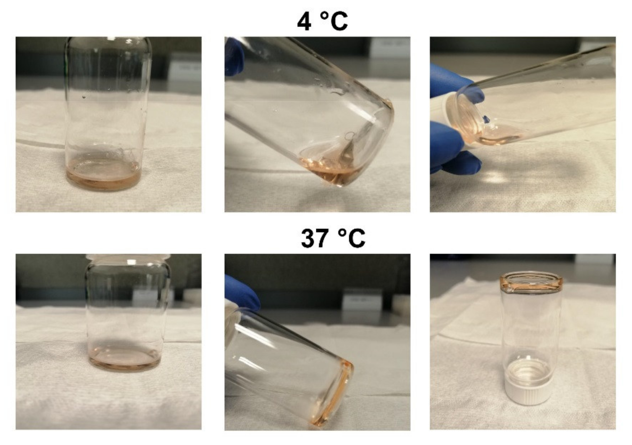 Molecules 25 02219 g001 Molecules 25 02219 g001