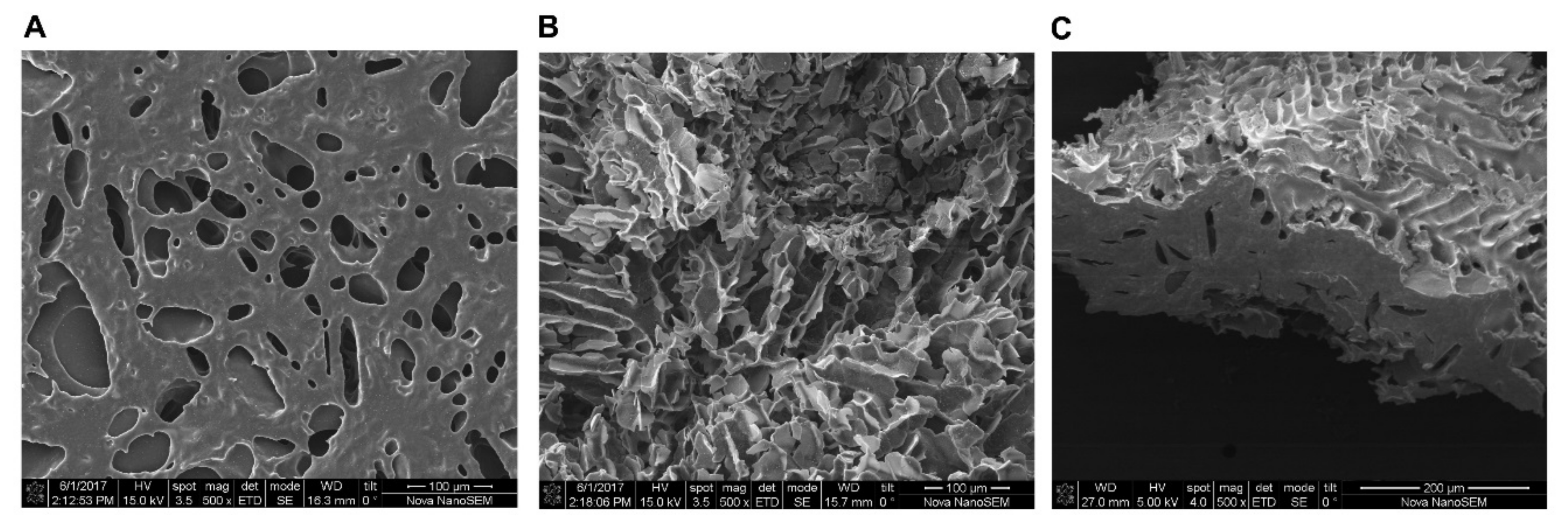 Molecules 25 02219 g002 Molecules 25 02219 g002