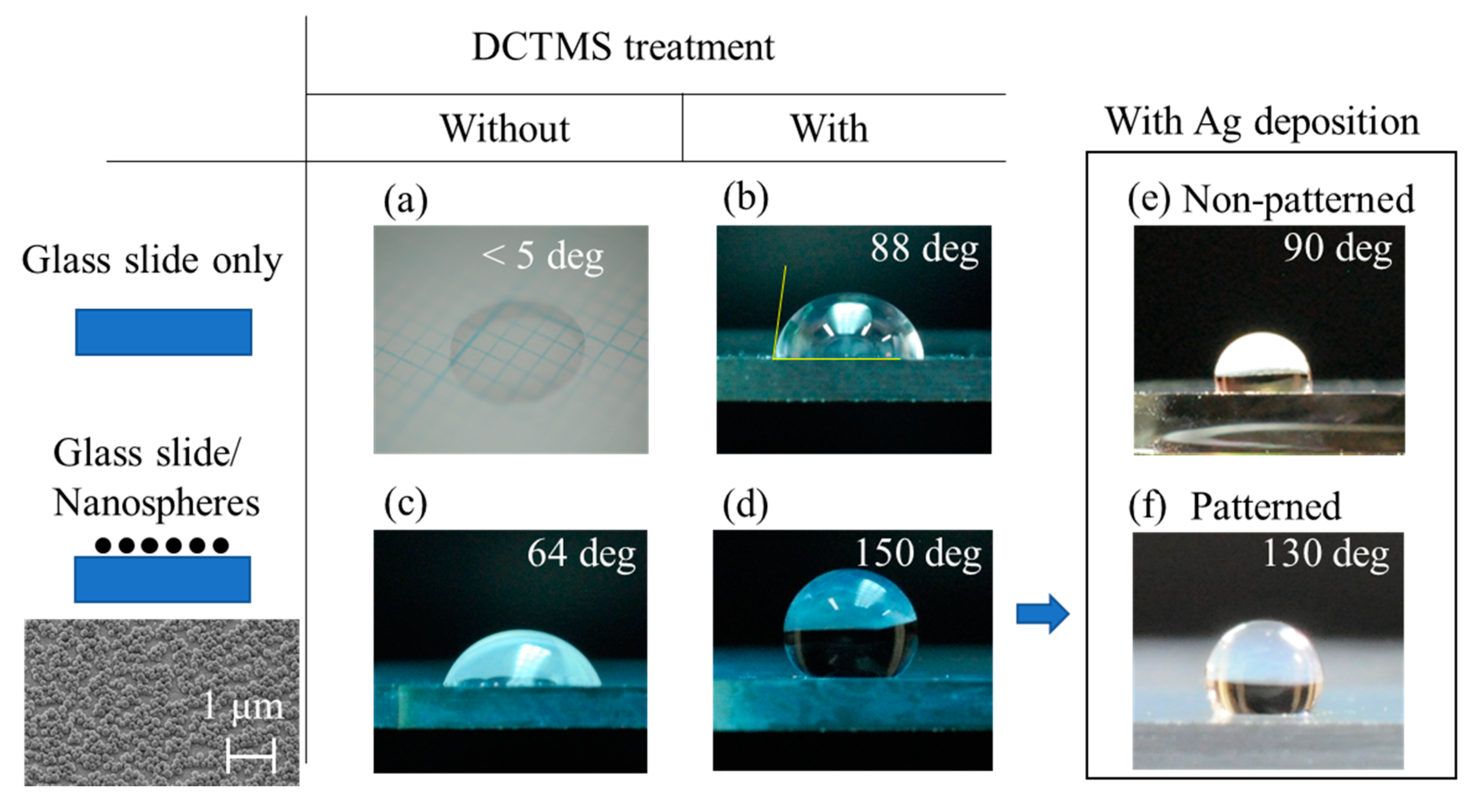 Molecules 25 02223 g001