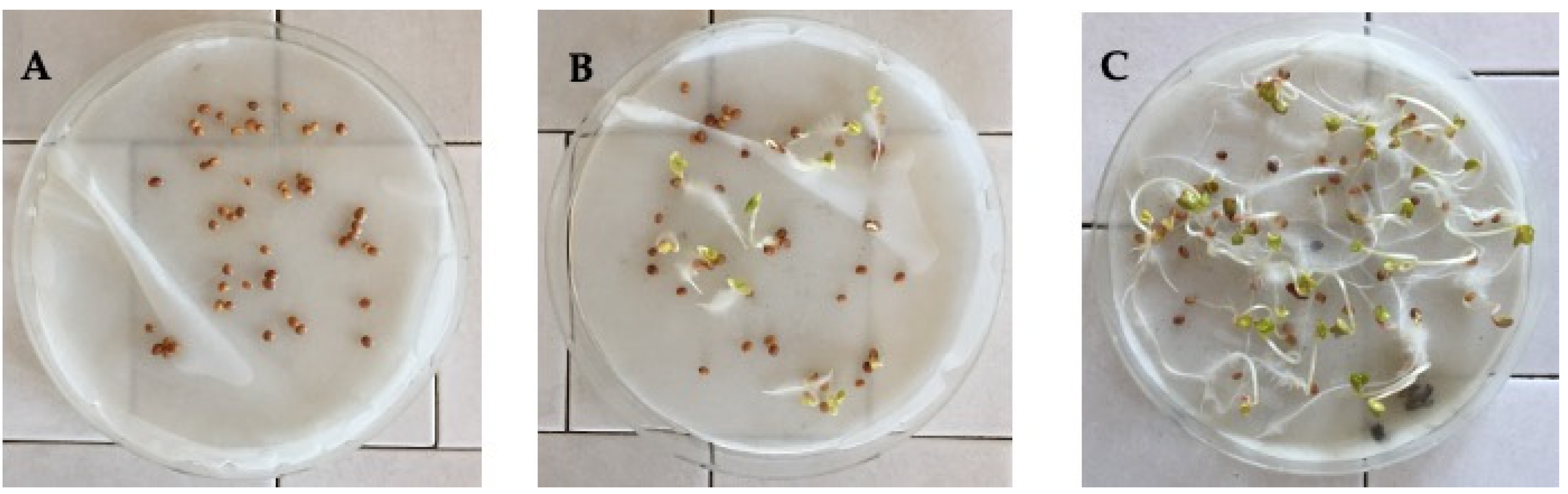 Molecules 25 02225 g005 Molecules 25 02225 g005